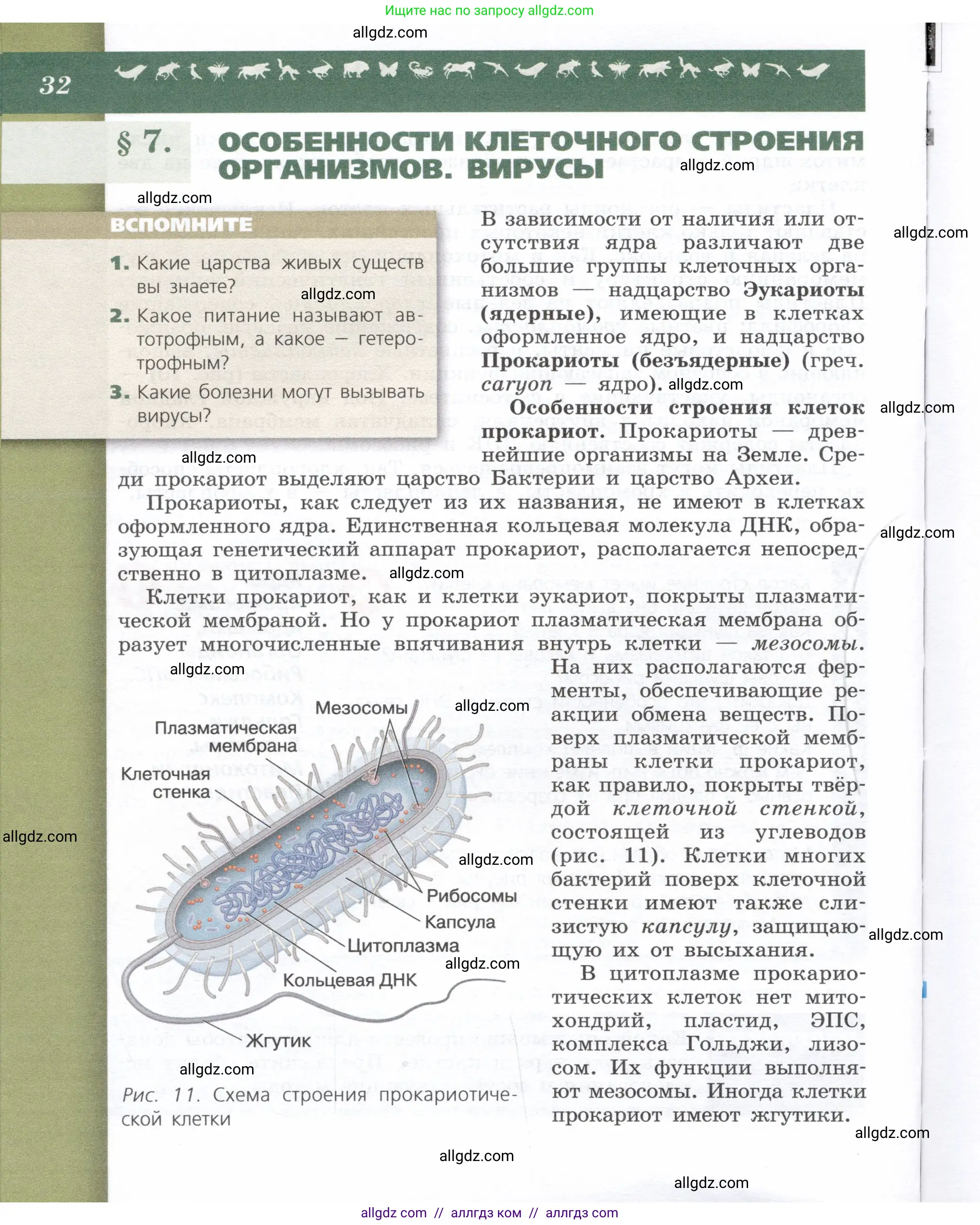 Биология, 9 класс Учебник, автор: Пасечник Владимир Васильевич, издательство Просвещение, Москва, 2019, страница 32