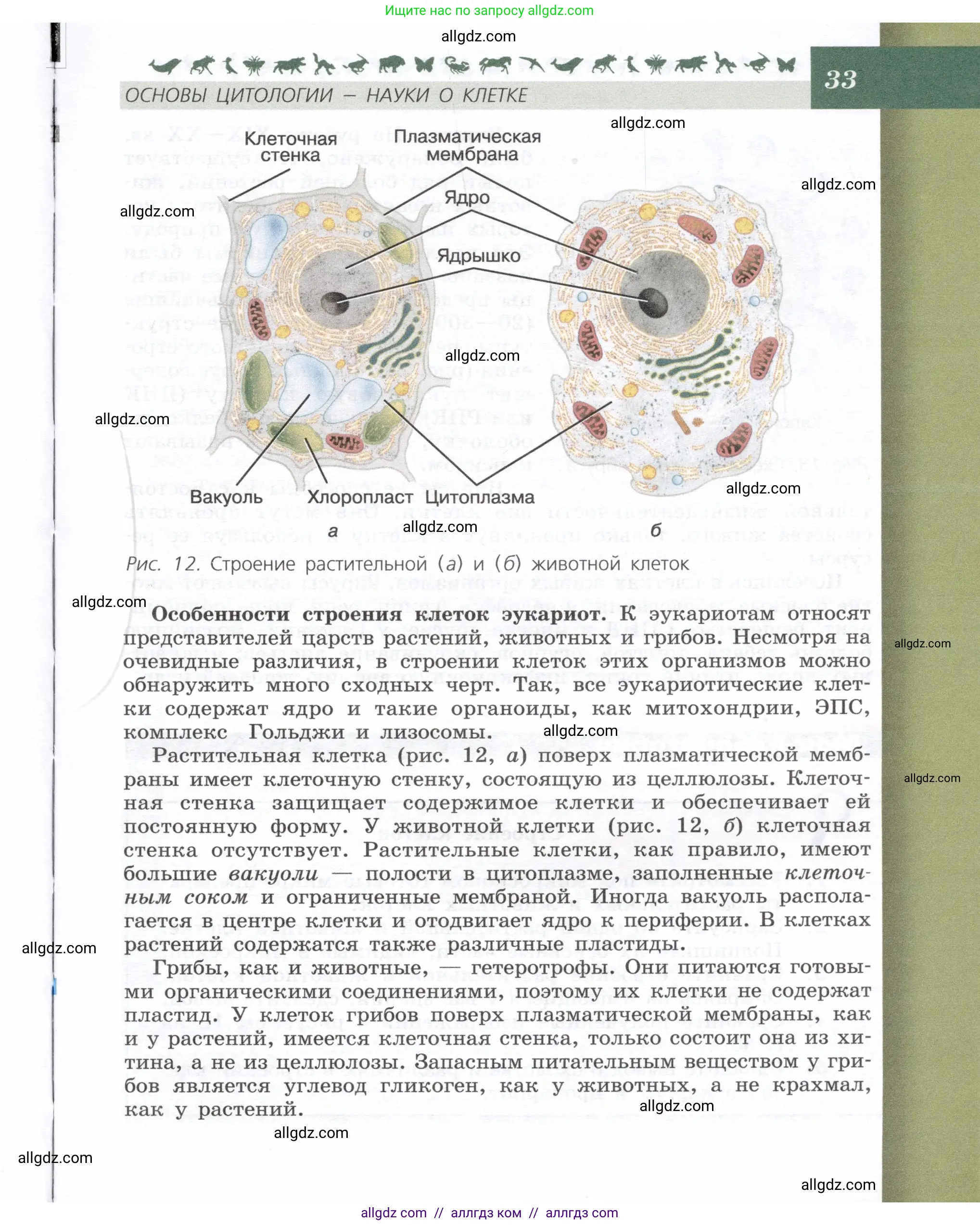 Биология, 9 класс Учебник, автор: Пасечник Владимир Васильевич, издательство Просвещение, Москва, 2019, страница 33