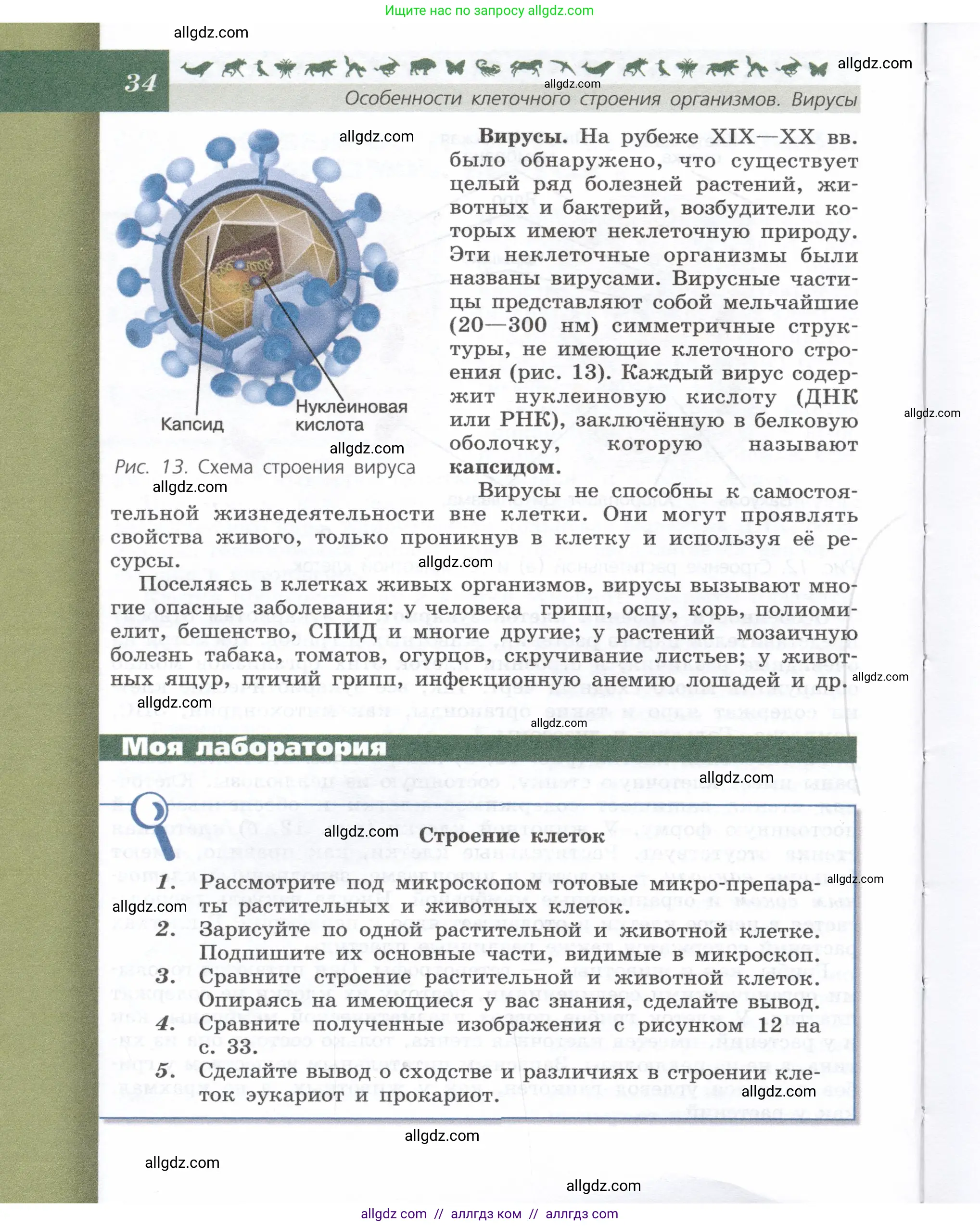 Биология, 9 класс Учебник, автор: Пасечник Владимир Васильевич, издательство Просвещение, Москва, 2019, страница 34