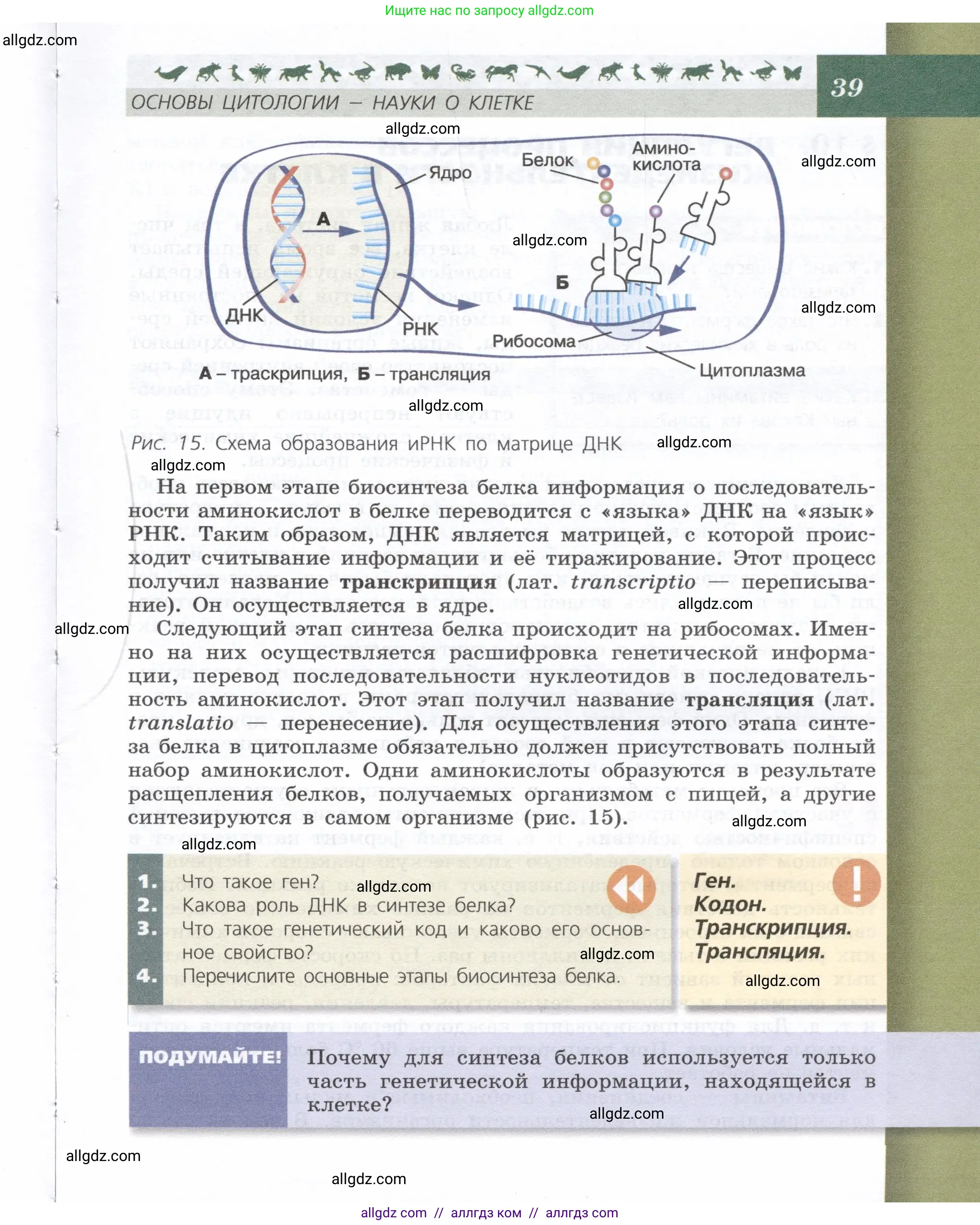 Биология, 9 класс Учебник, автор: Пасечник Владимир Васильевич, издательство Просвещение, Москва, 2019, страница 39
