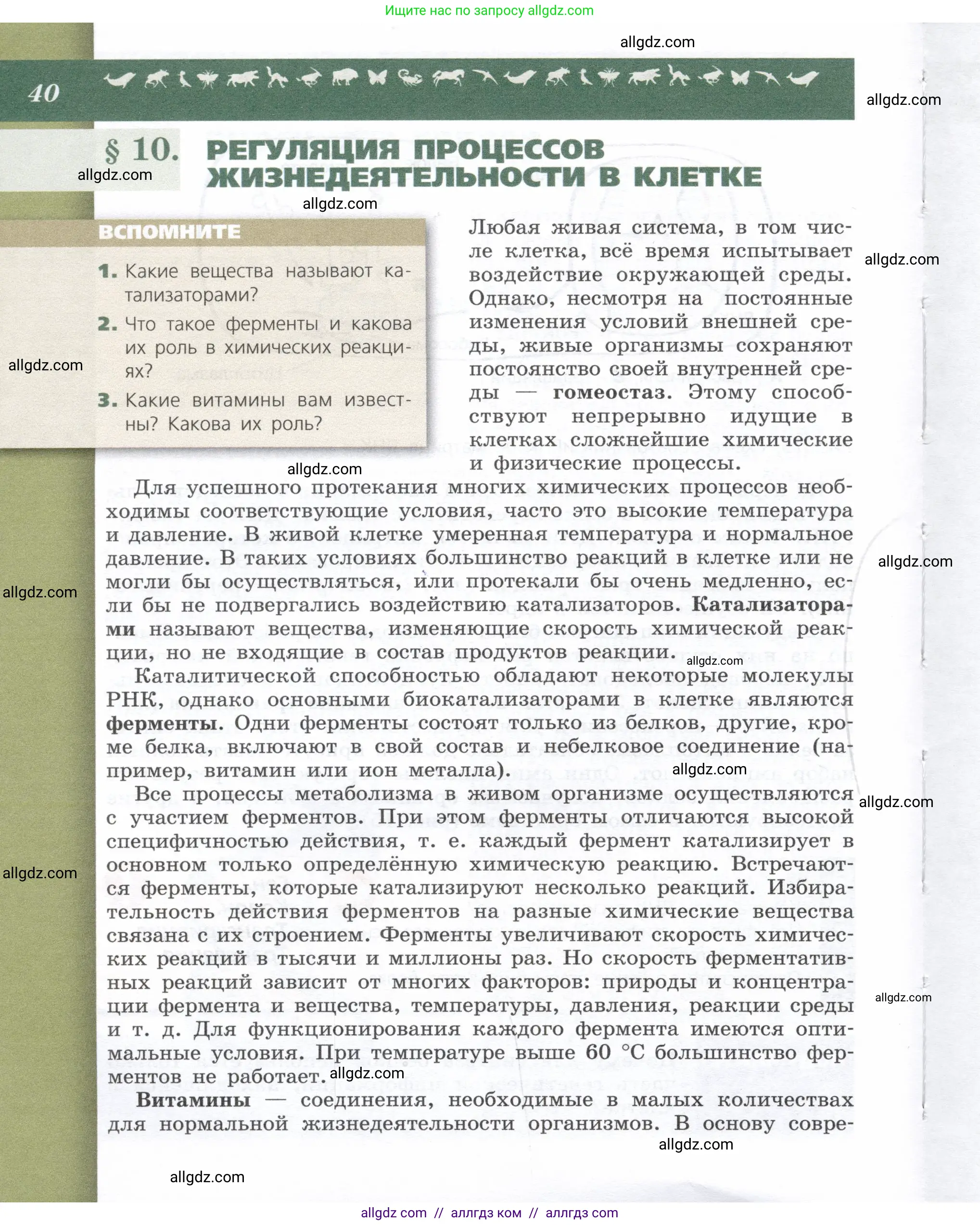 Биология, 9 класс Учебник, автор: Пасечник Владимир Васильевич, издательство Просвещение, Москва, 2019, страница 40