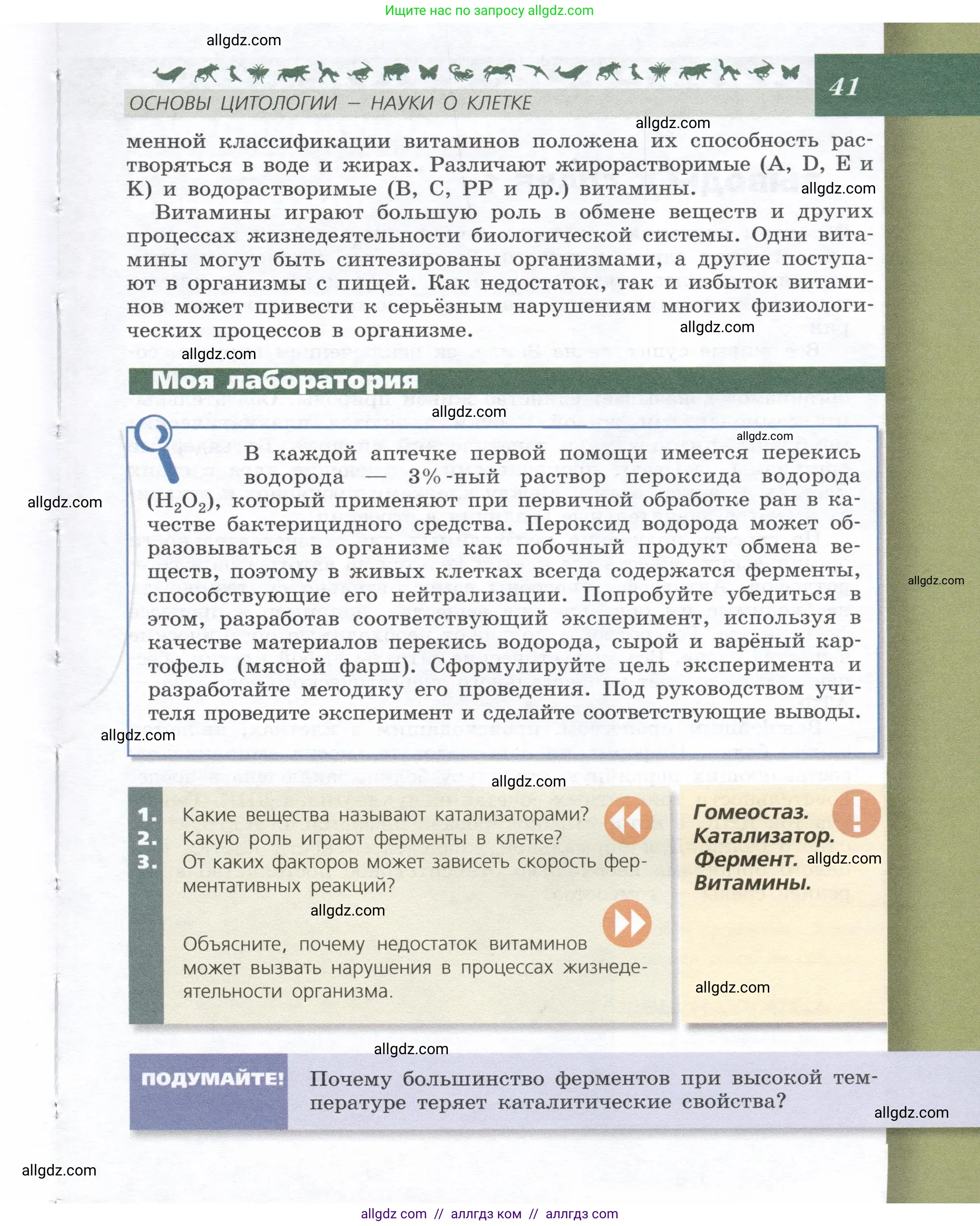 Биология, 9 класс Учебник, автор: Пасечник Владимир Васильевич, издательство Просвещение, Москва, 2019, страница 41