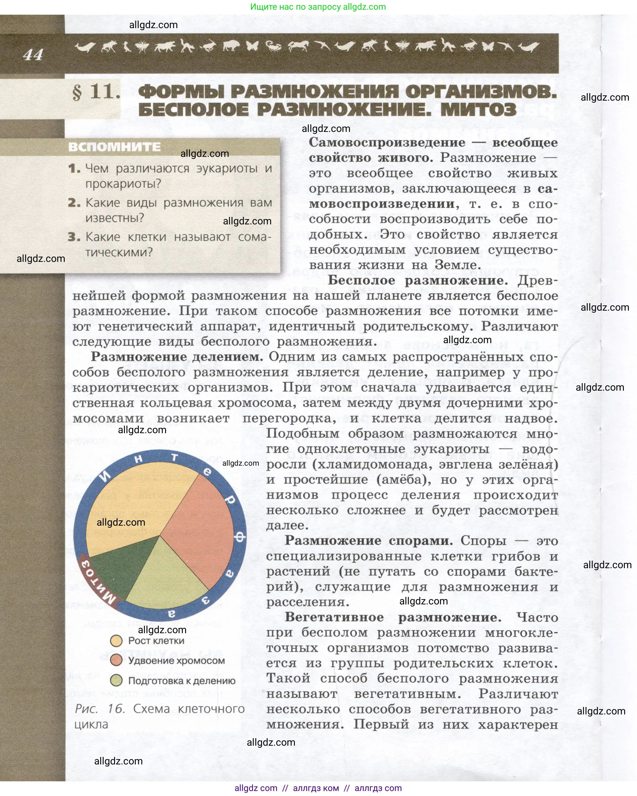 Биология, 9 класс Учебник, автор: Пасечник Владимир Васильевич, издательство Просвещение, Москва, 2019, страница 44