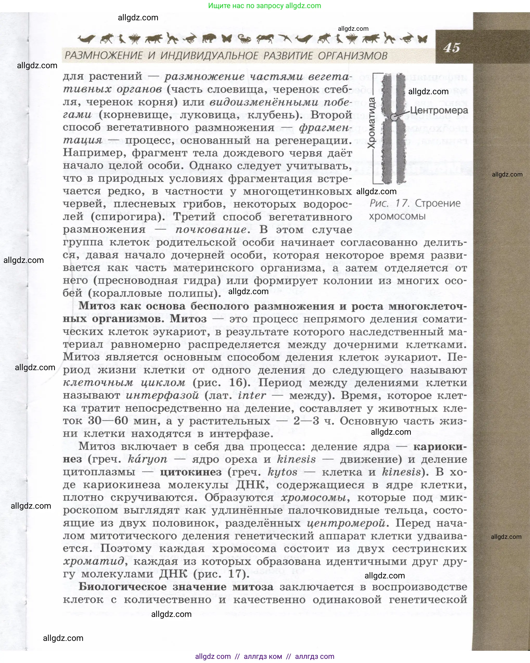 Биология, 9 класс Учебник, автор: Пасечник Владимир Васильевич, издательство Просвещение, Москва, 2019, страница 45