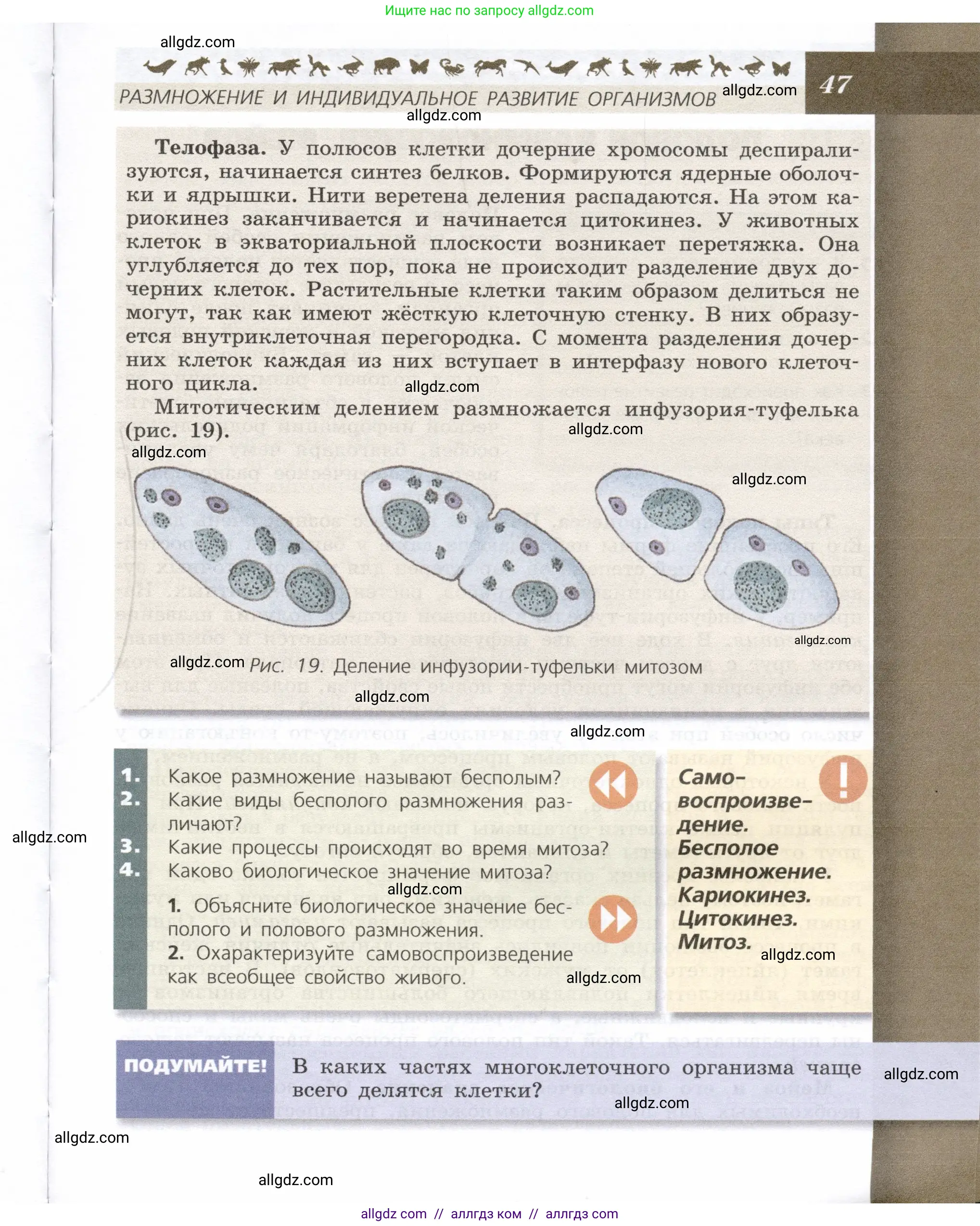 Биология, 9 класс Учебник, автор: Пасечник Владимир Васильевич, издательство Просвещение, Москва, 2019, страница 47