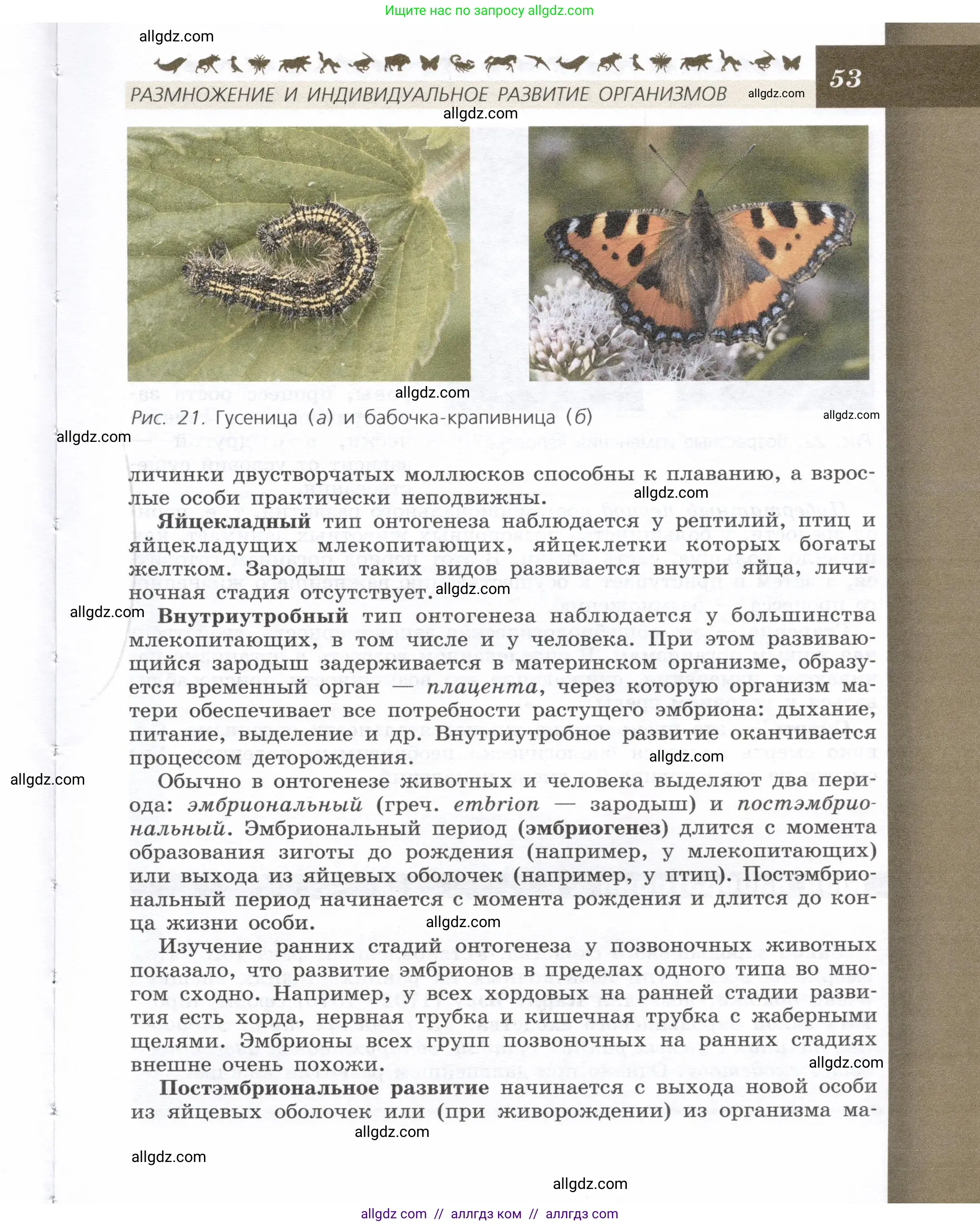Биология, 9 класс Учебник, автор: Пасечник Владимир Васильевич, издательство Просвещение, Москва, 2019, страница 53