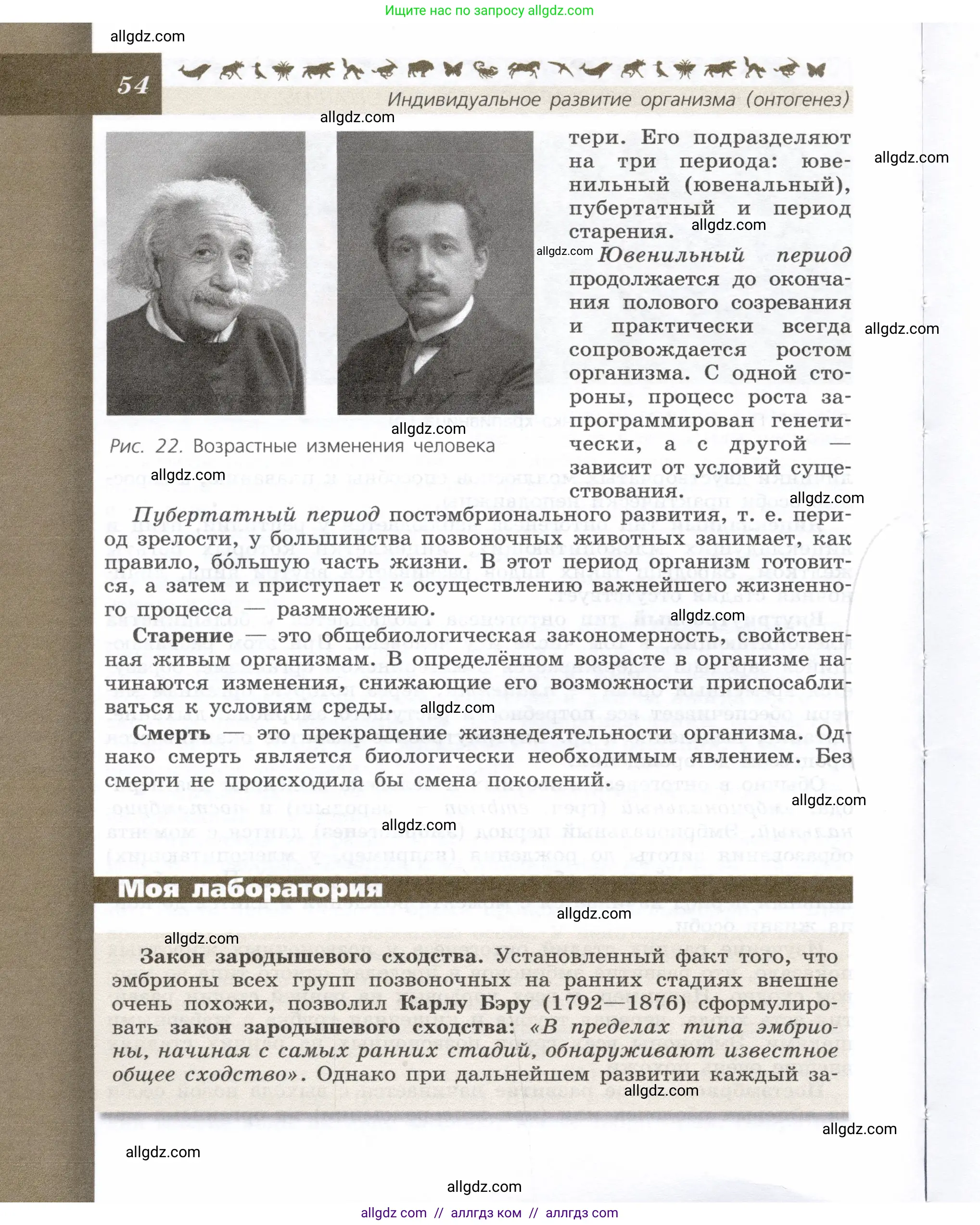 Биология, 9 класс Учебник, автор: Пасечник Владимир Васильевич, издательство Просвещение, Москва, 2019, страница 54