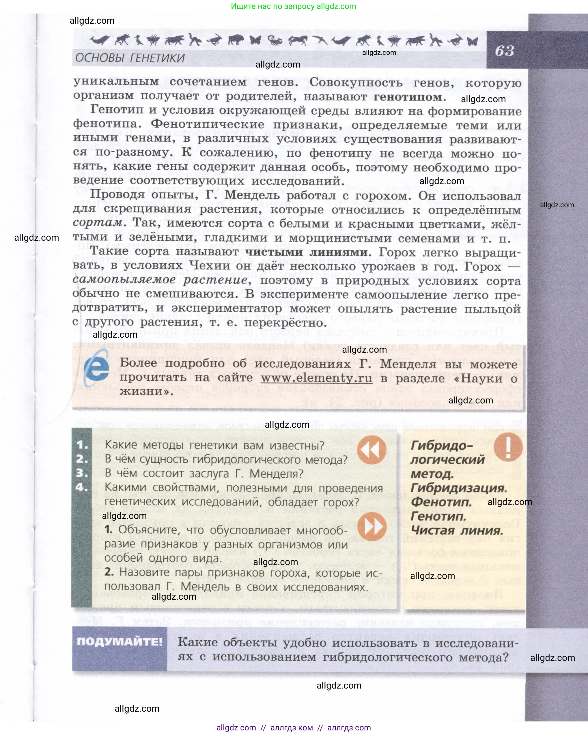 Биология, 9 класс Учебник, автор: Пасечник Владимир Васильевич, издательство Просвещение, Москва, 2019, страница 63