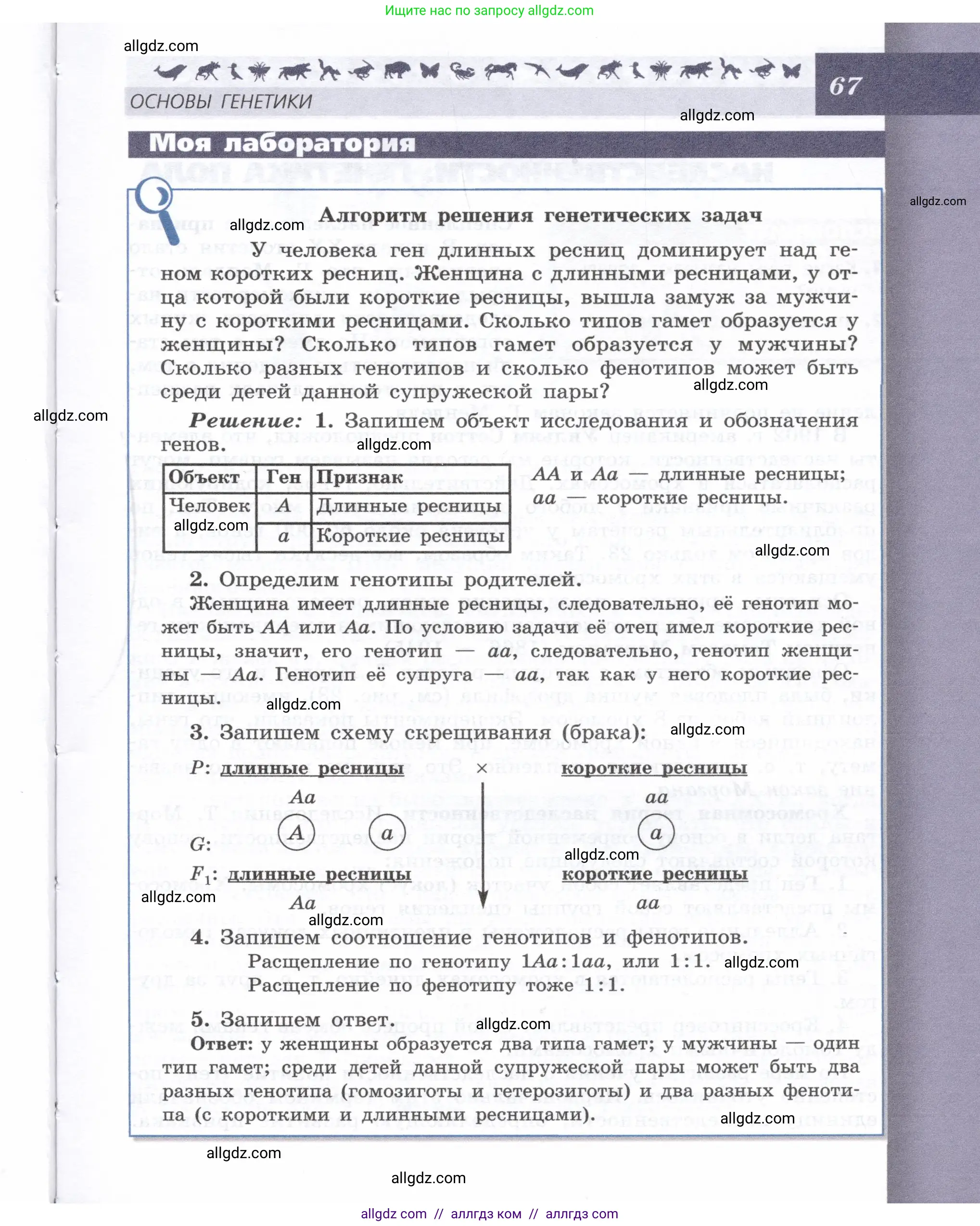 Биология, 9 класс Учебник, автор: Пасечник Владимир Васильевич, издательство Просвещение, Москва, 2019, страница 67