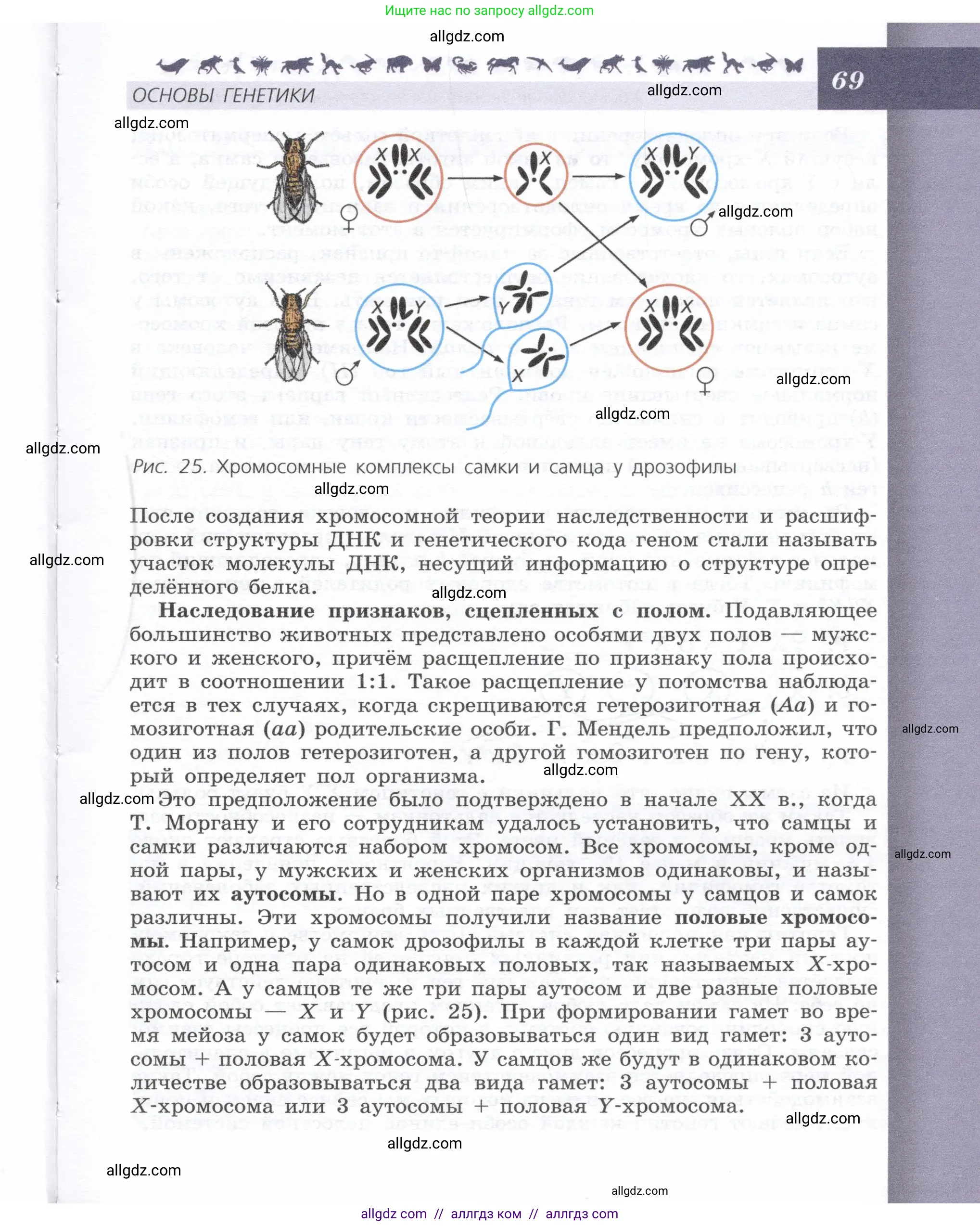 Биология, 9 класс Учебник, автор: Пасечник Владимир Васильевич, издательство Просвещение, Москва, 2019, страница 69