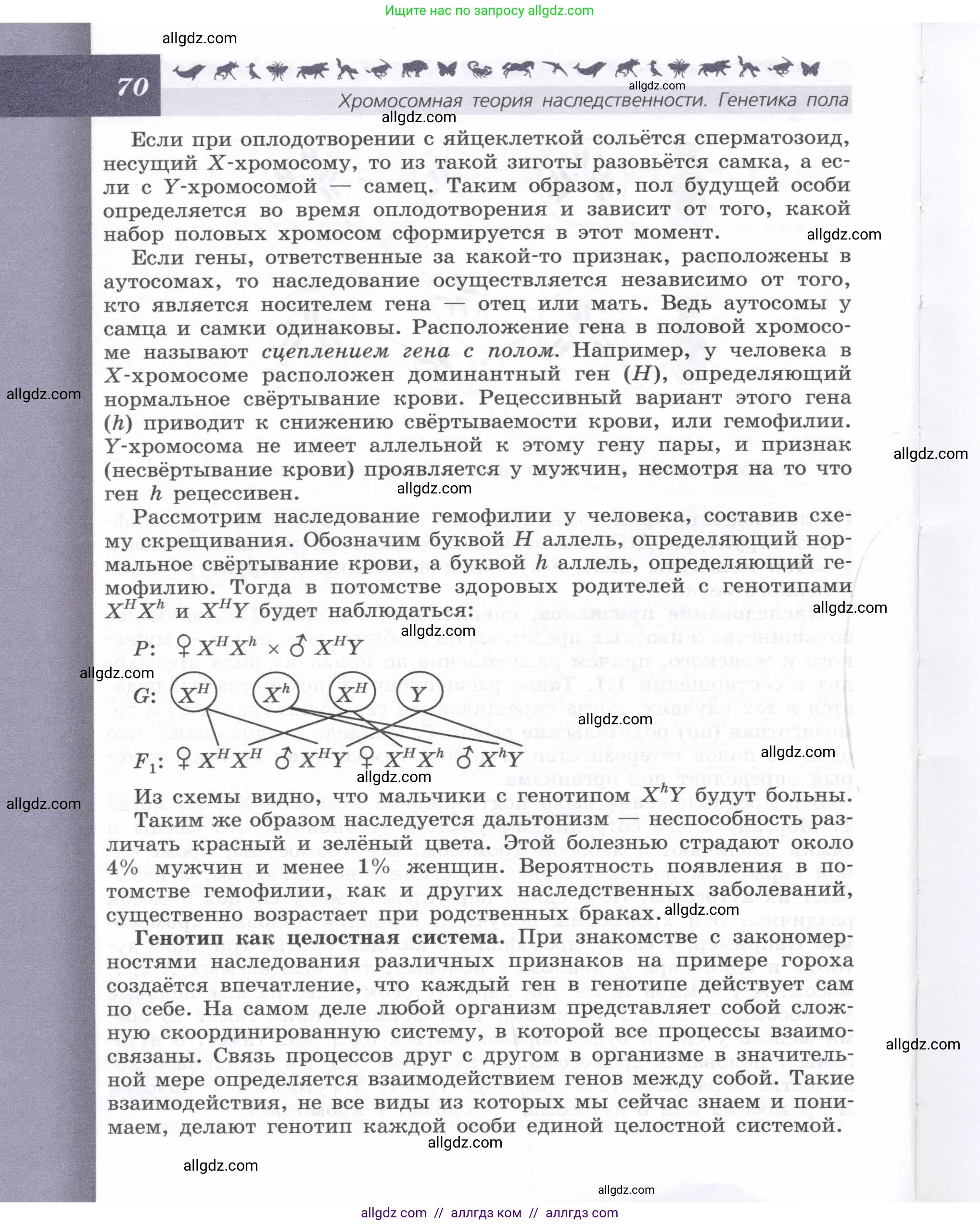 Биология, 9 класс Учебник, автор: Пасечник Владимир Васильевич, издательство Просвещение, Москва, 2019, страница 70