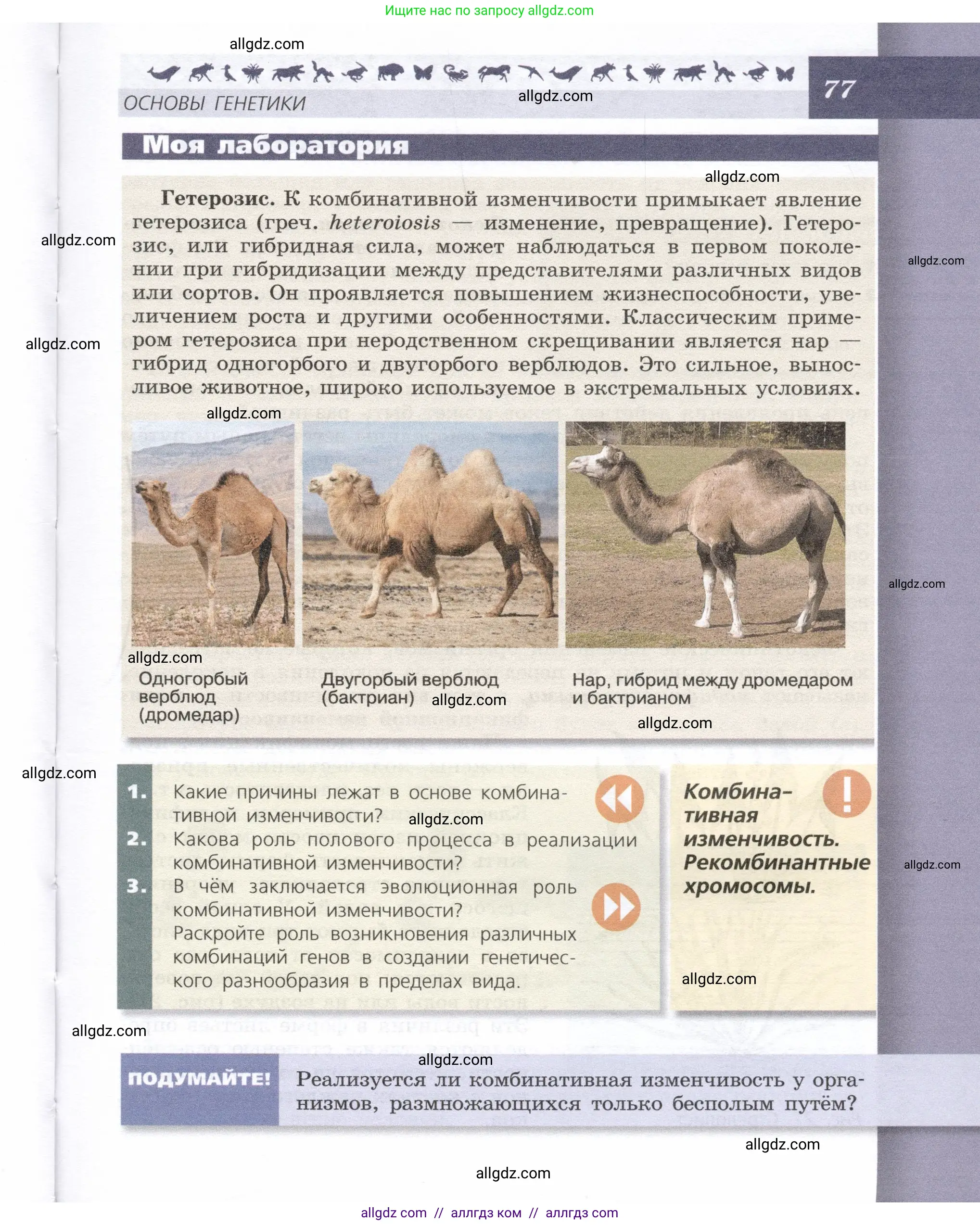 Биология, 9 класс Учебник, автор: Пасечник Владимир Васильевич, издательство Просвещение, Москва, 2019, страница 77
