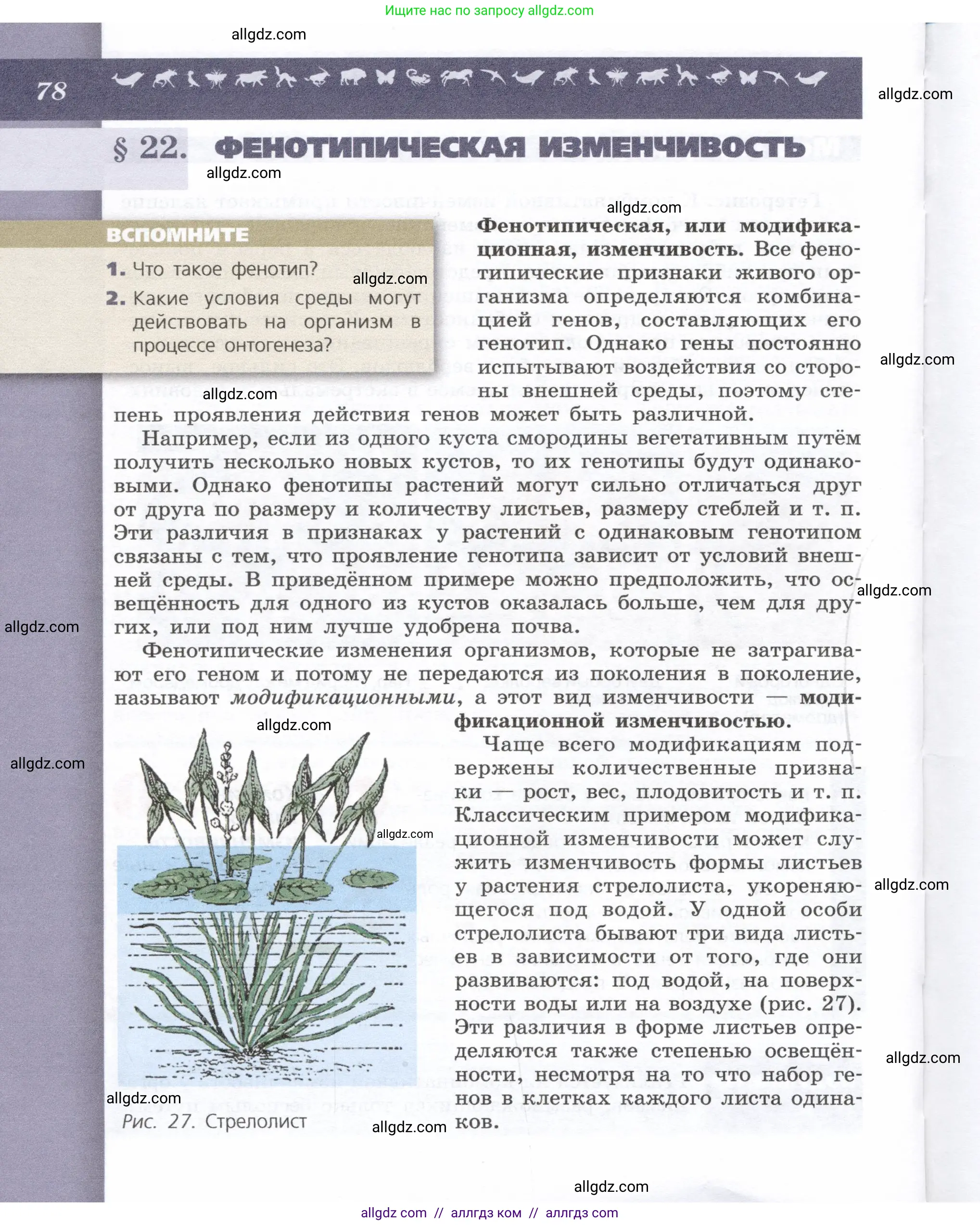 Биология, 9 класс Учебник, автор: Пасечник Владимир Васильевич, издательство Просвещение, Москва, 2019, страница 78