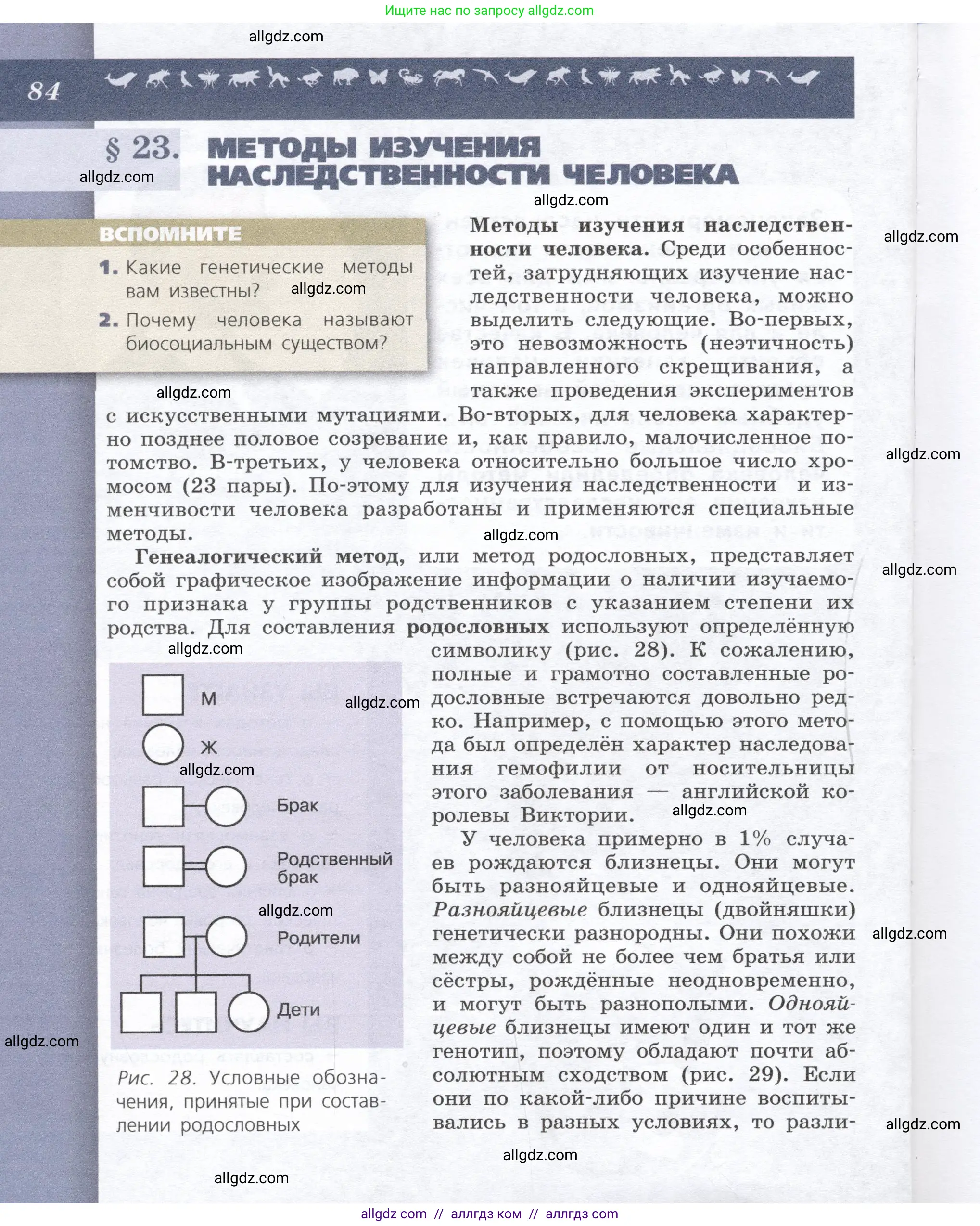 Биология, 9 класс Учебник, автор: Пасечник Владимир Васильевич, издательство Просвещение, Москва, 2019, страница 84