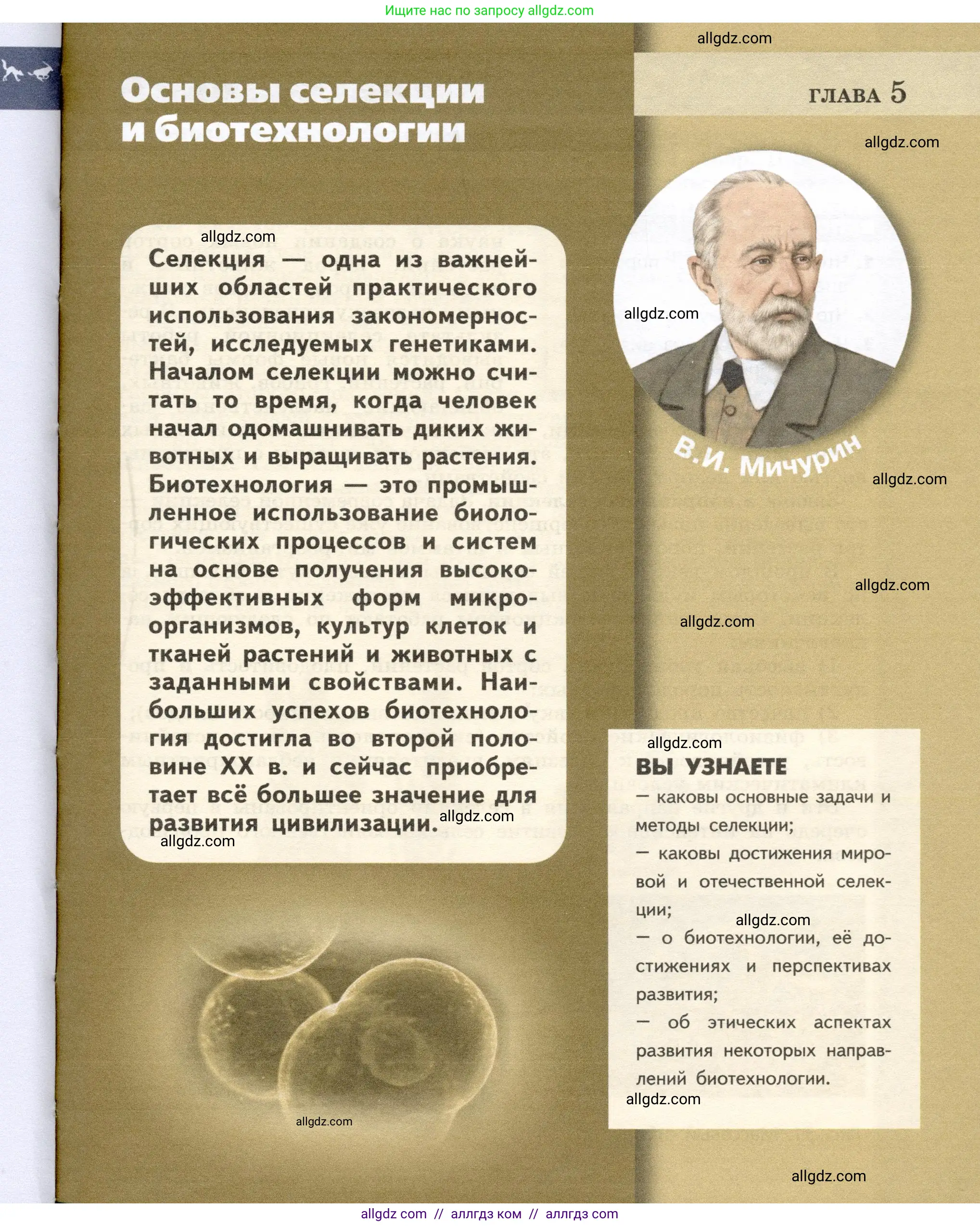 Биология, 9 класс Учебник, автор: Пасечник Владимир Васильевич, издательство Просвещение, Москва, 2019, страница 93
