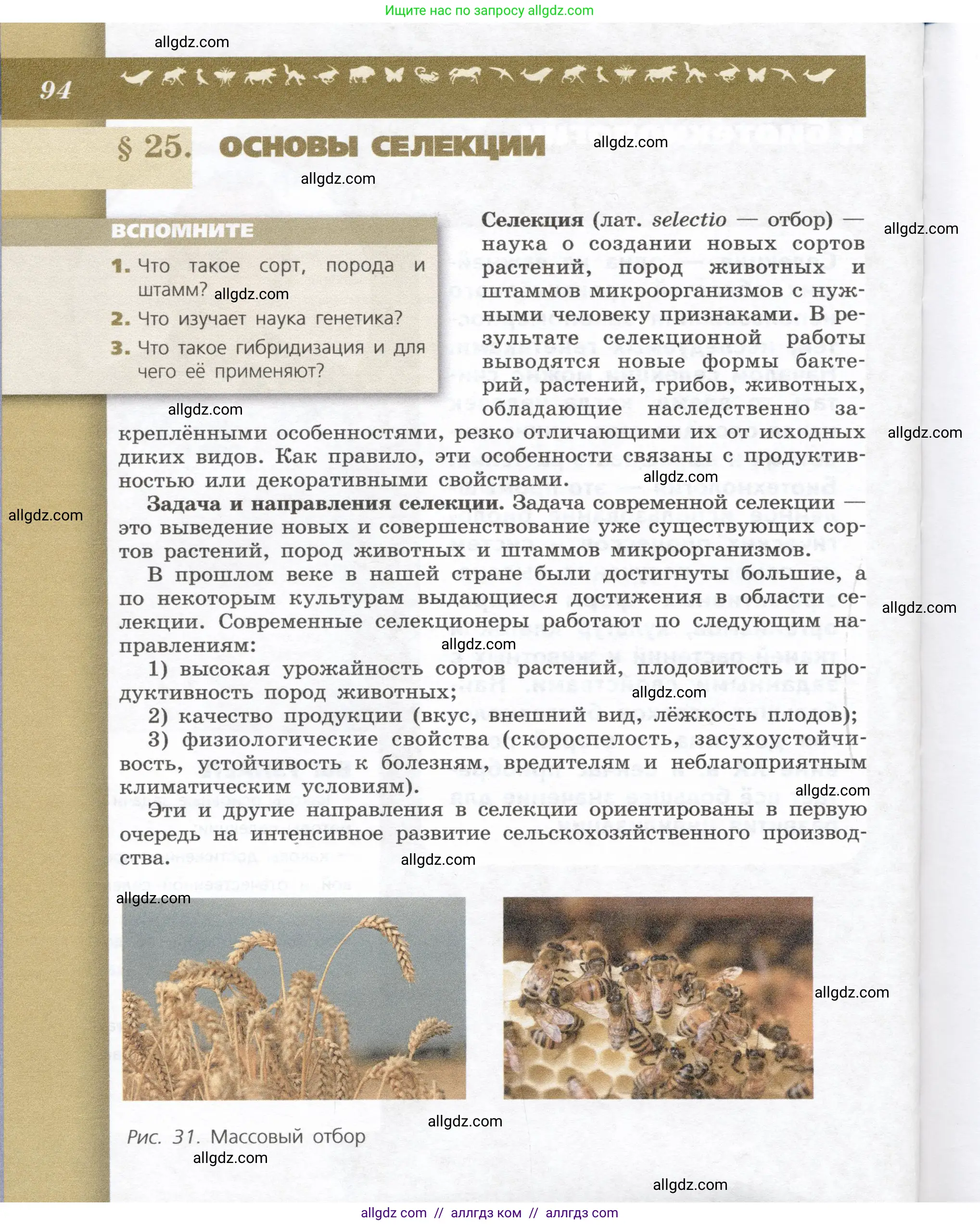 Биология, 9 класс Учебник, автор: Пасечник Владимир Васильевич, издательство Просвещение, Москва, 2019, страница 94