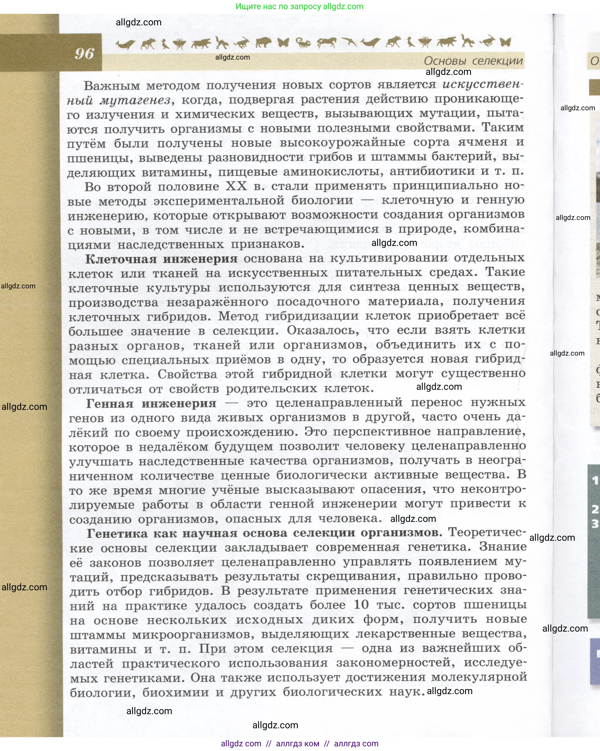 Биология, 9 класс Учебник, автор: Пасечник Владимир Васильевич, издательство Просвещение, Москва, 2019, страница 96