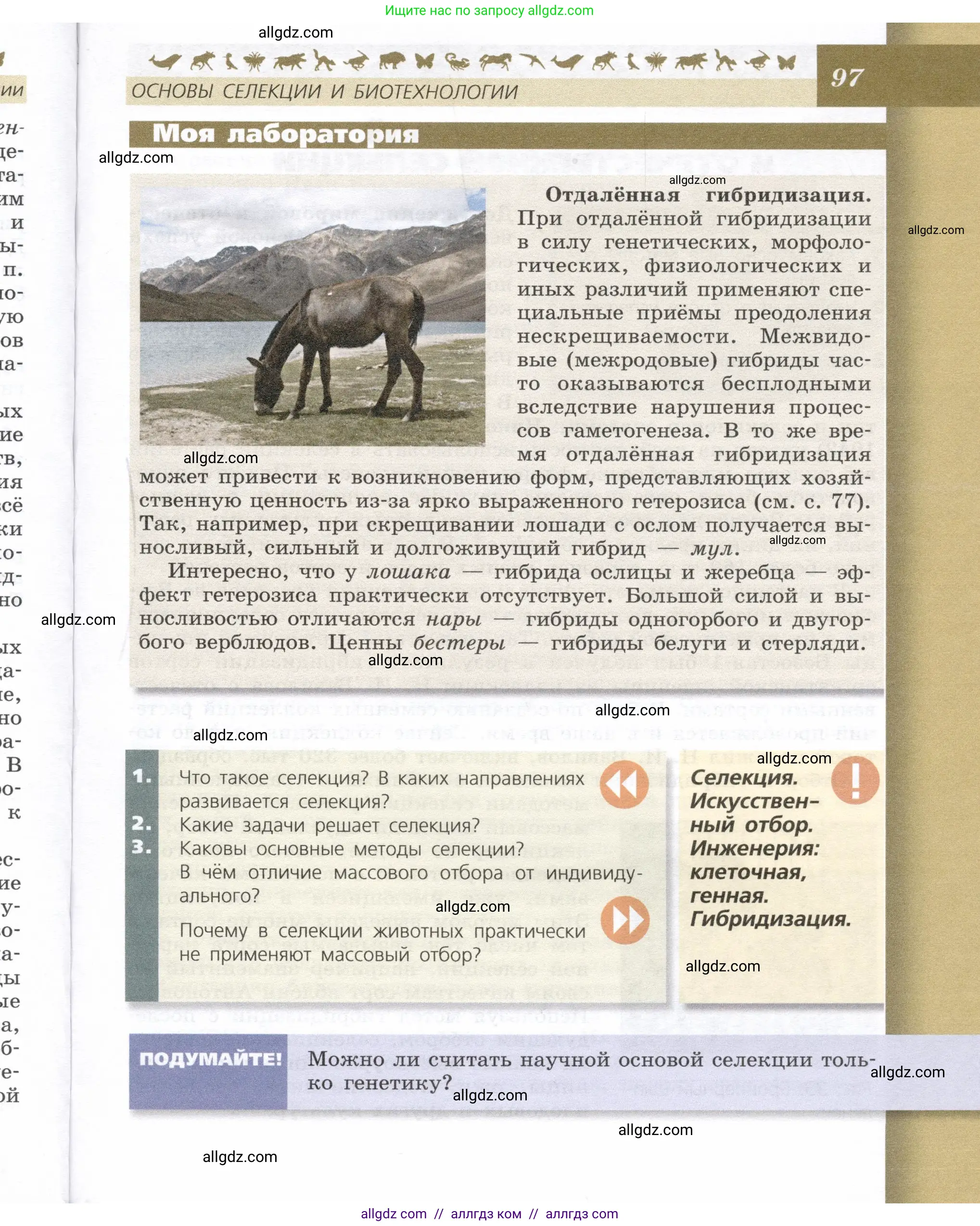Биология, 9 класс Учебник, автор: Пасечник Владимир Васильевич, издательство Просвещение, Москва, 2019, страница 97
