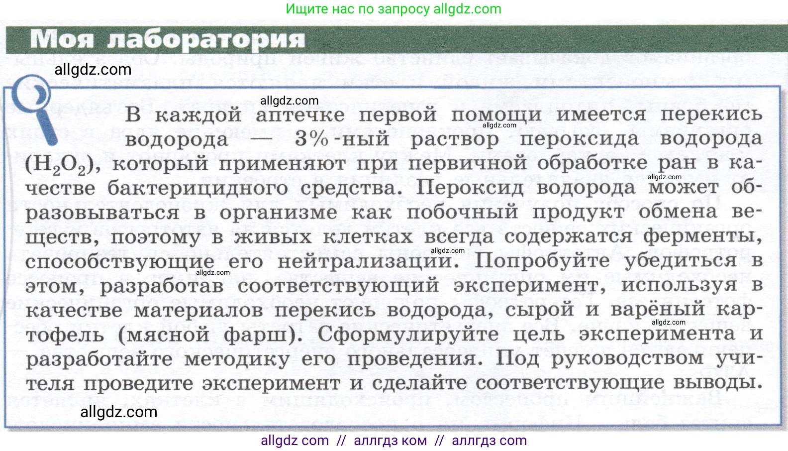 Биология, 9 класс Учебник, автор: Пасечник Владимир Васильевич, издательство Просвещение, Москва, 2019, страница 41, Условие