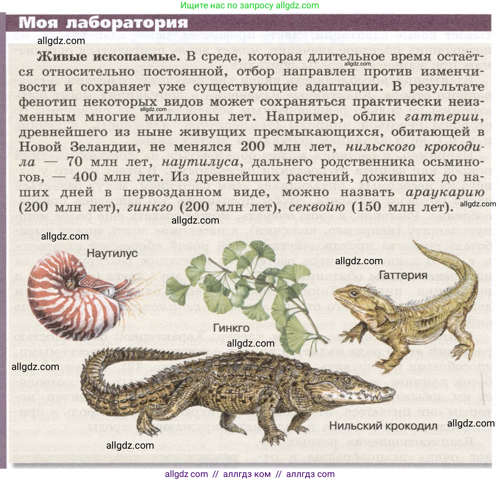 Биология, 9 класс Учебник, автор: Пасечник Владимир Васильевич, издательство Просвещение, Москва, 2019, страница 126, Условие