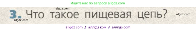 Биология, 9 класс Учебник, автор: Пасечник Владимир Васильевич, издательство Просвещение, Москва, 2019, страница 178, номер 3, Условие