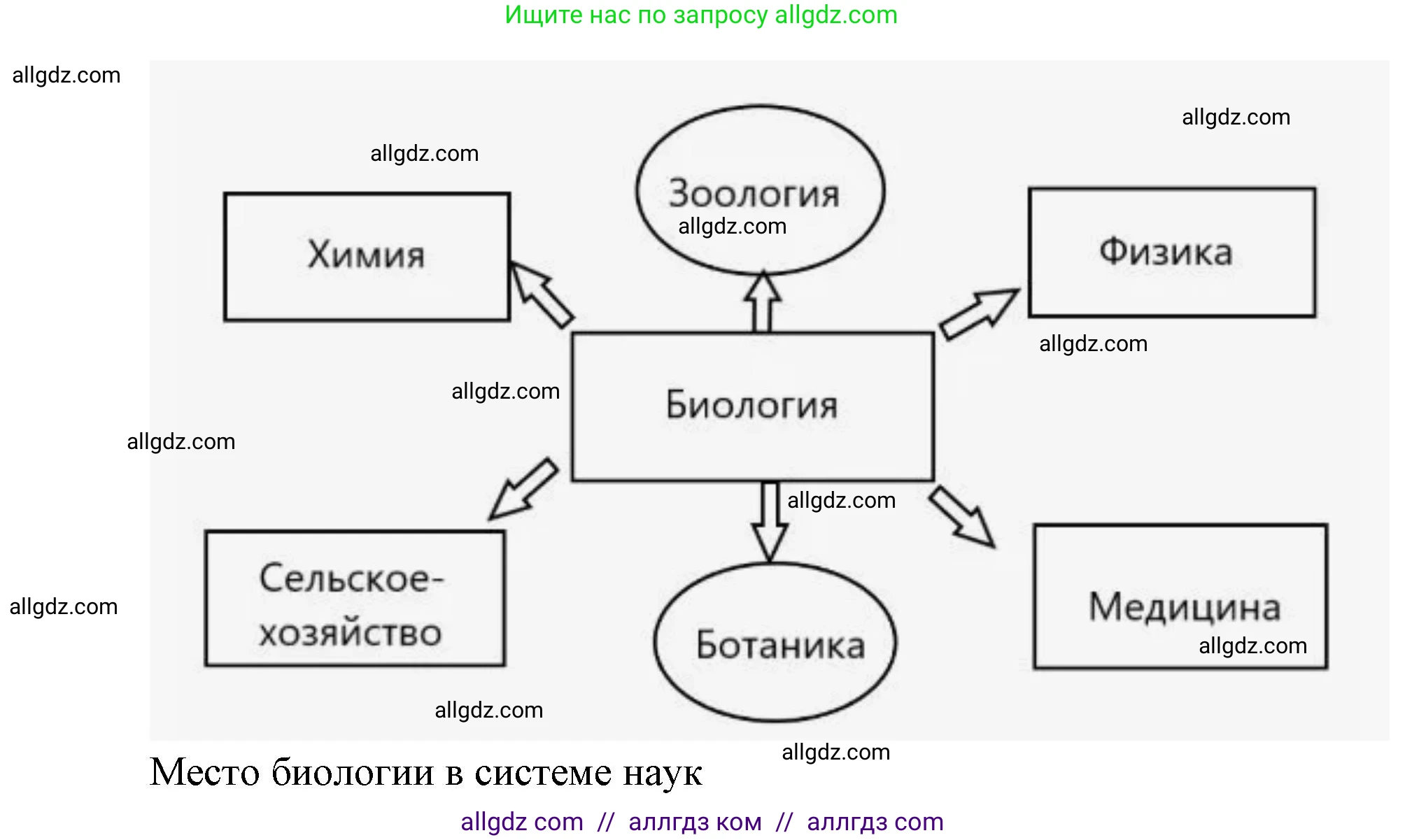 Биология, 9 класс Учебник, автор: Пасечник Владимир Васильевич, издательство Просвещение, Москва, 2019, страница 11, номер 2, Решение (продолжение 2)