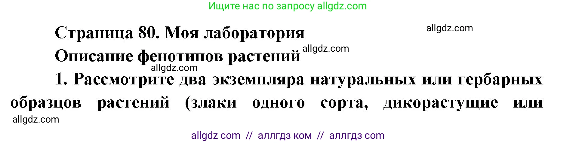 Биология, 9 класс Учебник, автор: Пасечник Владимир Васильевич, издательство Просвещение, Москва, 2019, страница 80, Решение