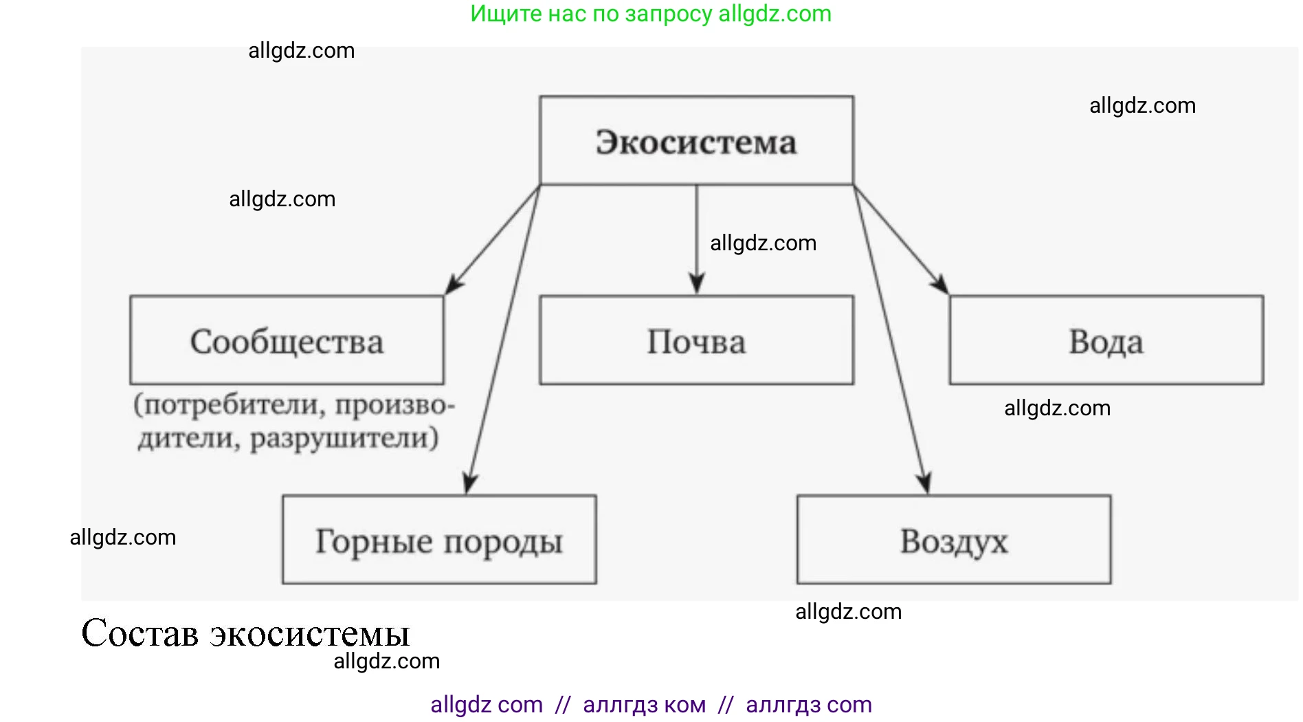 Биология, 9 класс Учебник, автор: Пасечник Владимир Васильевич, издательство Просвещение, Москва, 2019, страница 165, номер 2, Решение (продолжение 2)