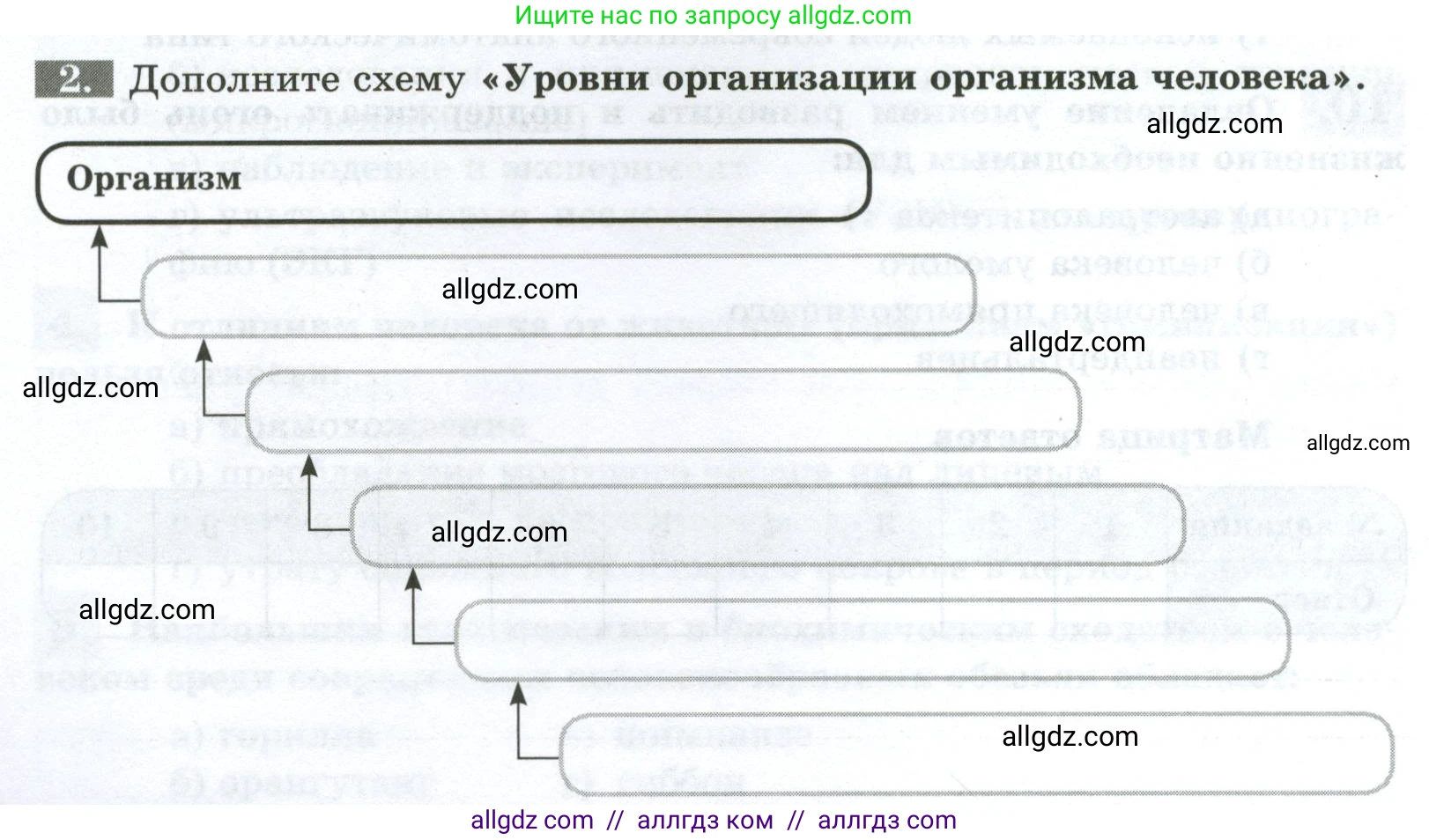 Биология, 9 класс рабочая тетрадь, авторы: Пасечник Владимир Васильевич, Швецов Глеб Геннадьевич, издательство Просвещение, Москва, 2023, розового цвета, страница 12, номер 2, Условие