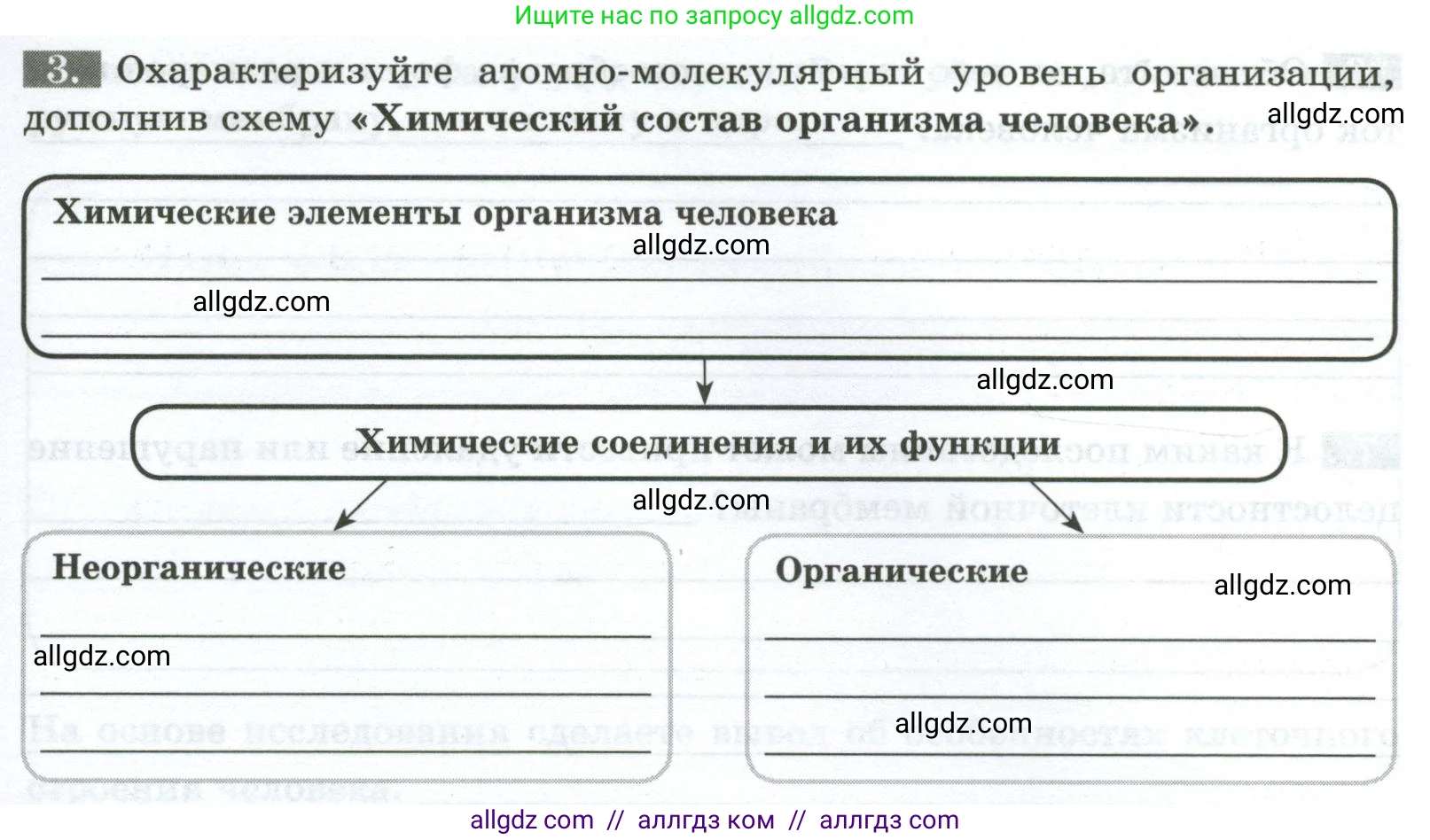 Биология, 9 класс рабочая тетрадь, авторы: Пасечник Владимир Васильевич, Швецов Глеб Геннадьевич, издательство Просвещение, Москва, 2023, розового цвета, страница 13, номер 3, Условие