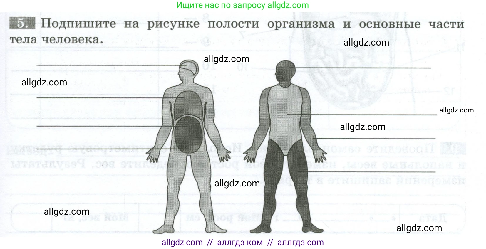Биология, 9 класс рабочая тетрадь, авторы: Пасечник Владимир Васильевич, Швецов Глеб Геннадьевич, издательство Просвещение, Москва, 2023, розового цвета, страница 19, номер 5, Условие