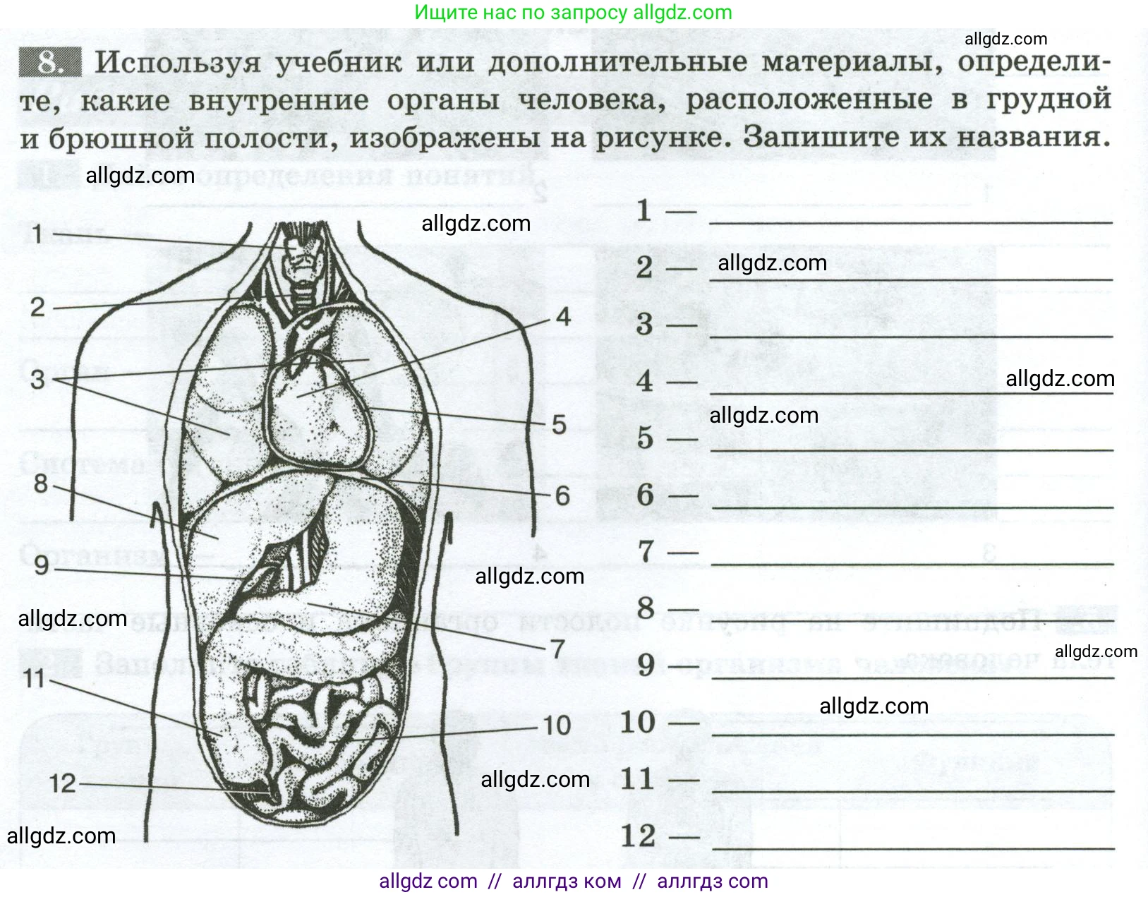 Биология, 9 класс рабочая тетрадь, авторы: Пасечник Владимир Васильевич, Швецов Глеб Геннадьевич, издательство Просвещение, Москва, 2023, розового цвета, страница 20, номер 8, Условие