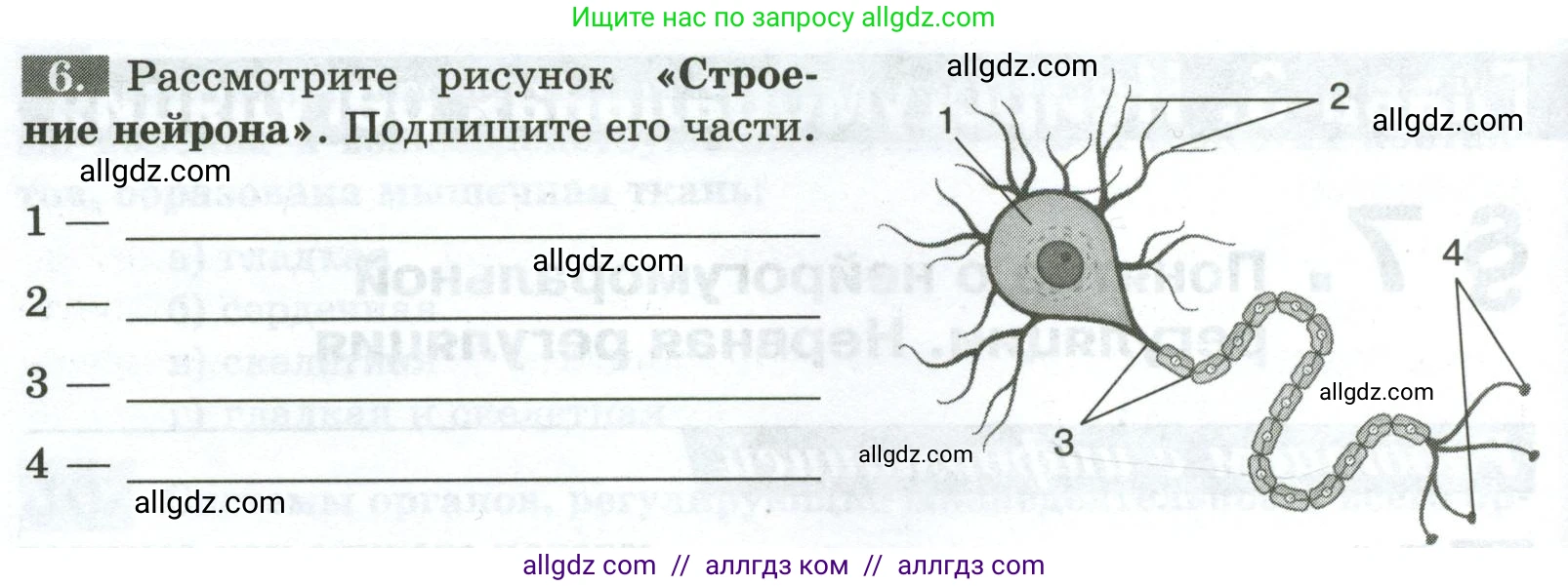 Биология, 9 класс рабочая тетрадь, авторы: Пасечник Владимир Васильевич, Швецов Глеб Геннадьевич, издательство Просвещение, Москва, 2023, розового цвета, страница 26, номер 6, Условие