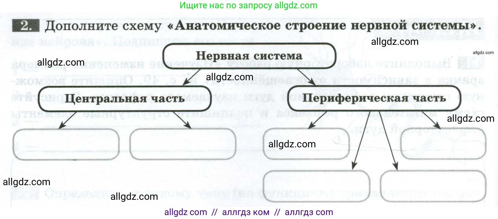 Биология, 9 класс рабочая тетрадь, авторы: Пасечник Владимир Васильевич, Швецов Глеб Геннадьевич, издательство Просвещение, Москва, 2023, розового цвета, страница 28, номер 2, Условие
