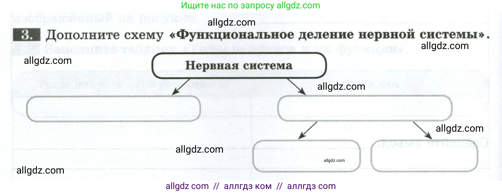 Биология, 9 класс рабочая тетрадь, авторы: Пасечник Владимир Васильевич, Швецов Глеб Геннадьевич, издательство Просвещение, Москва, 2023, розового цвета, страница 28, номер 3, Условие