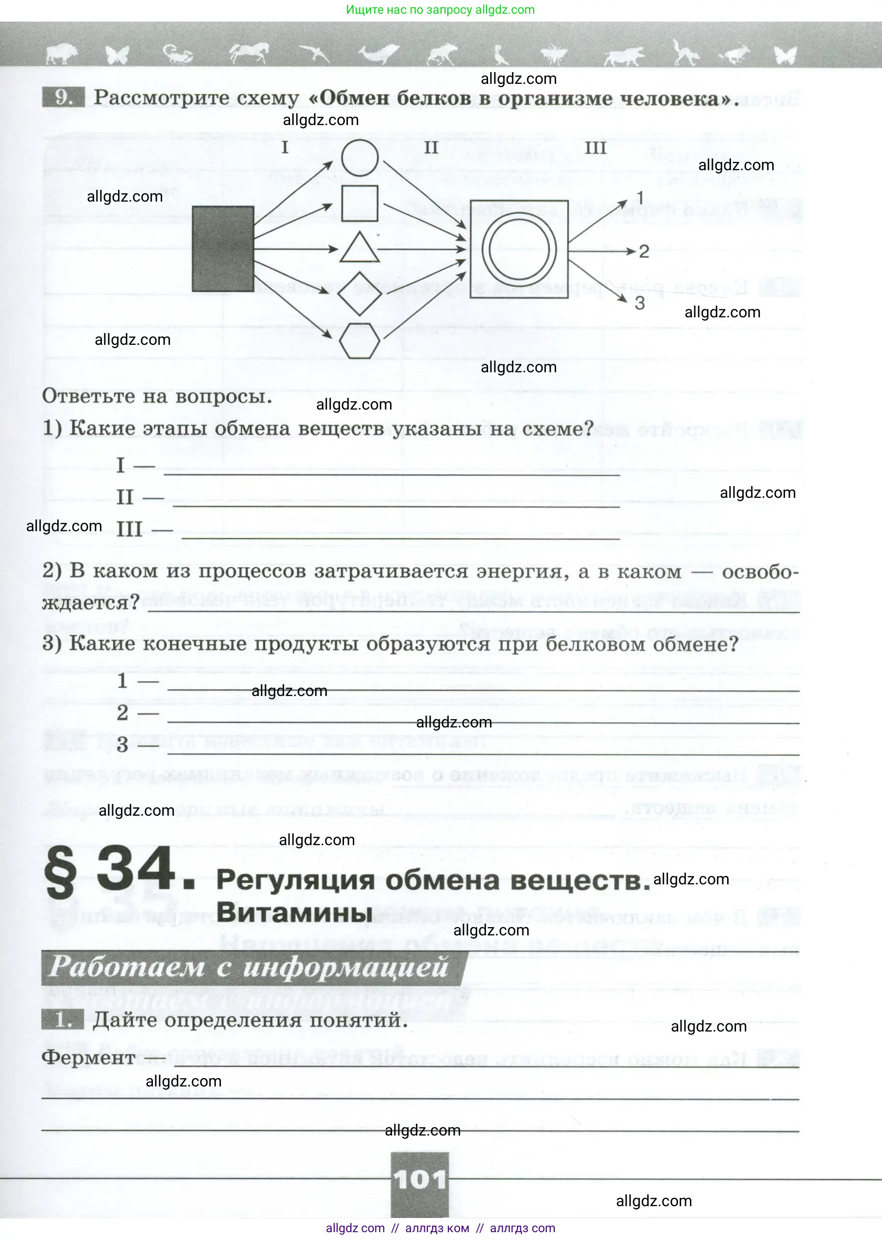 Биология, 9 класс рабочая тетрадь, авторы: Пасечник Владимир Васильевич, Швецов Глеб Геннадьевич, издательство Просвещение, Москва, 2023, розового цвета, страница 101