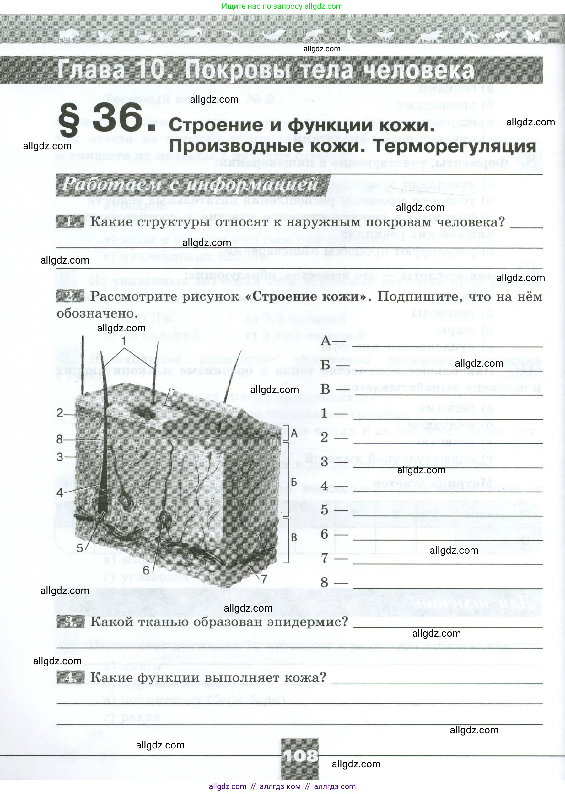 Биология, 9 класс рабочая тетрадь, авторы: Пасечник Владимир Васильевич, Швецов Глеб Геннадьевич, издательство Просвещение, Москва, 2023, розового цвета, страница 108