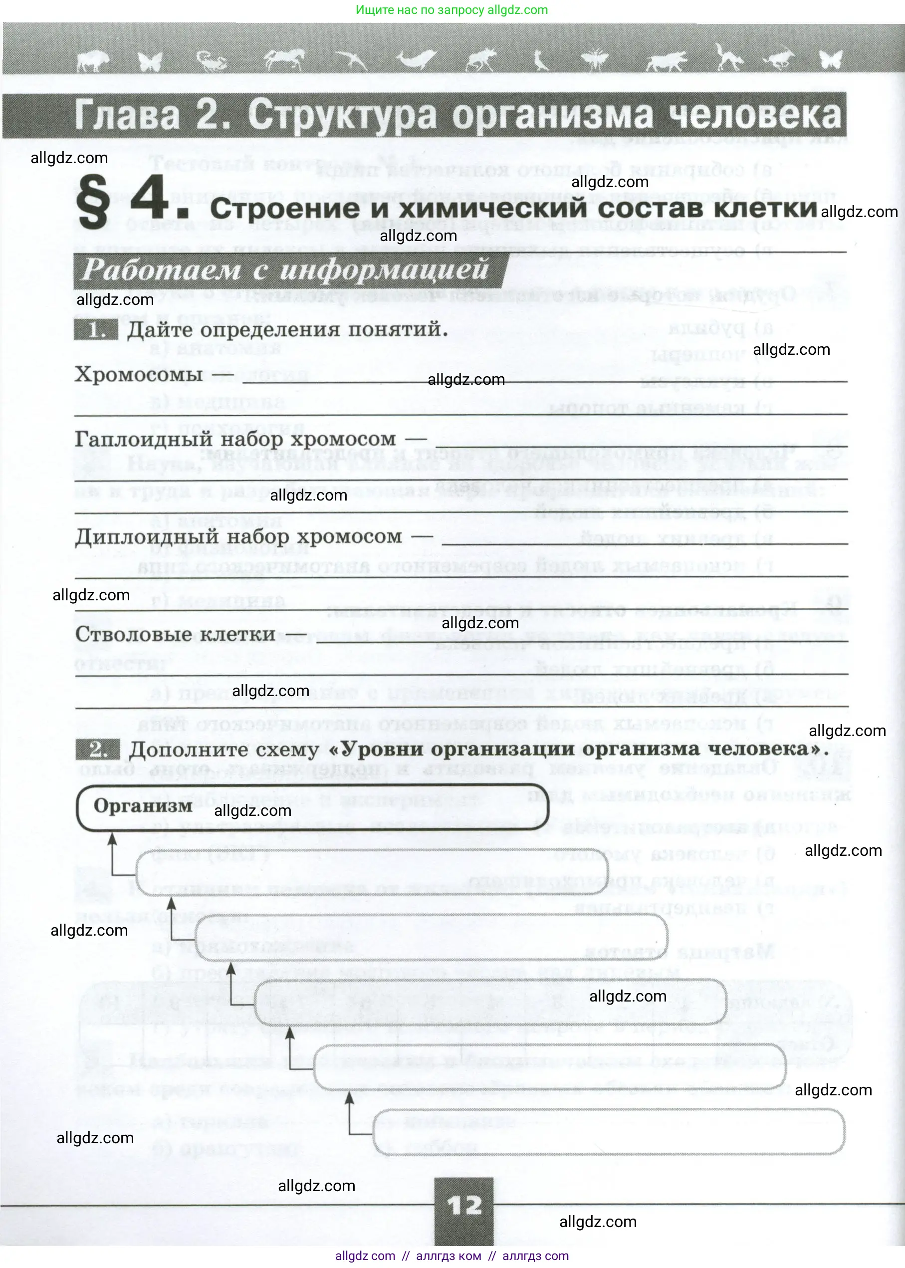 Биология, 9 класс рабочая тетрадь, авторы: Пасечник Владимир Васильевич, Швецов Глеб Геннадьевич, издательство Просвещение, Москва, 2023, розового цвета, страница 12