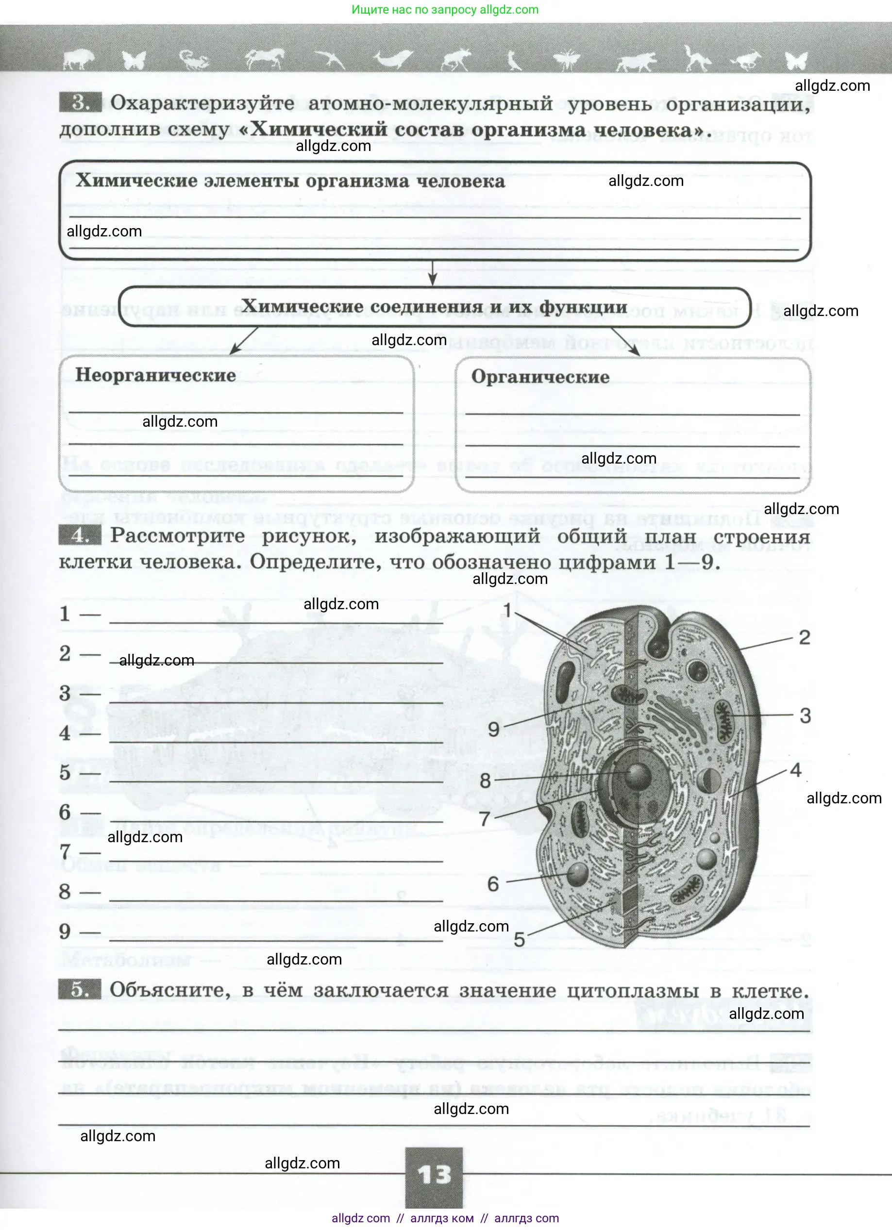 Биология, 9 класс рабочая тетрадь, авторы: Пасечник Владимир Васильевич, Швецов Глеб Геннадьевич, издательство Просвещение, Москва, 2023, розового цвета, страница 13