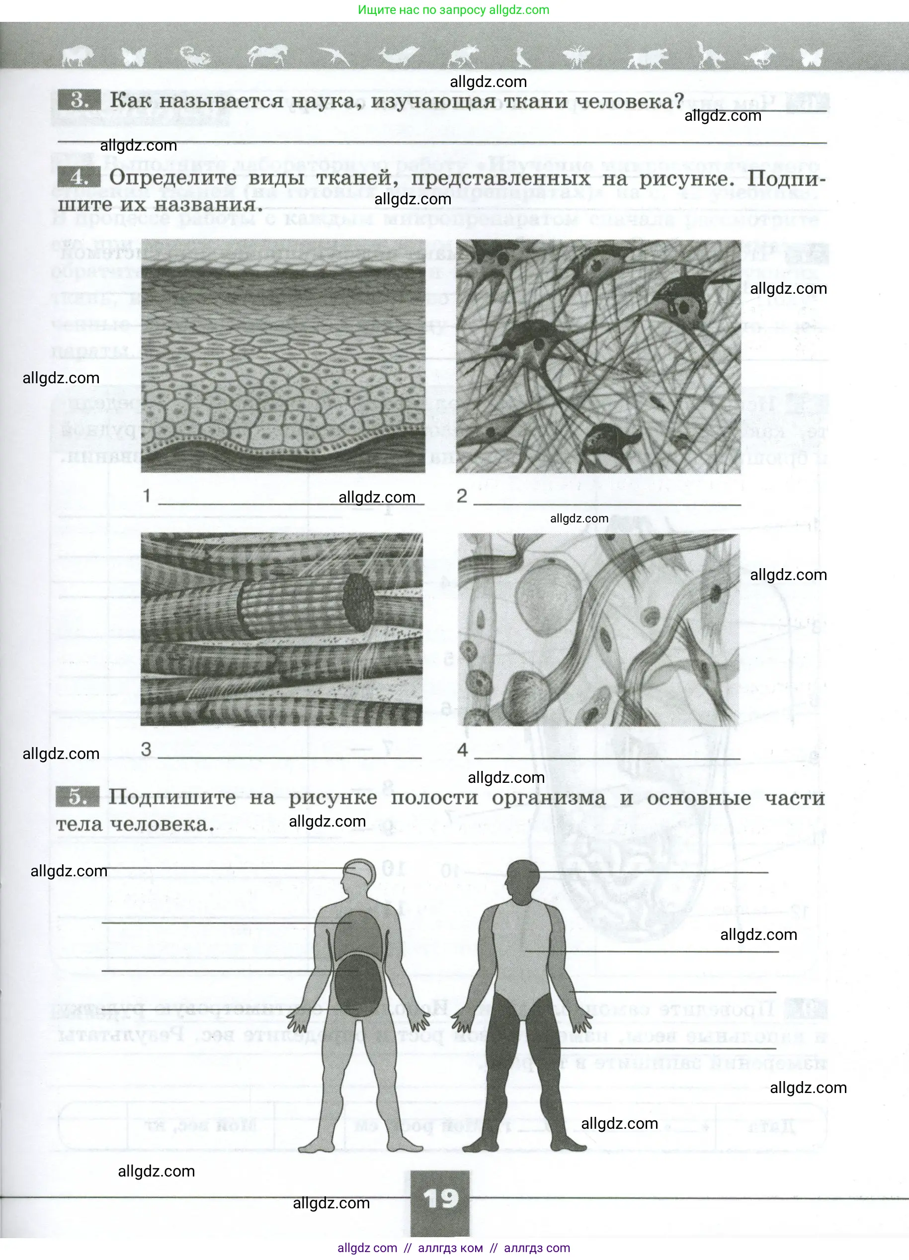 Биология, 9 класс рабочая тетрадь, авторы: Пасечник Владимир Васильевич, Швецов Глеб Геннадьевич, издательство Просвещение, Москва, 2023, розового цвета, страница 19