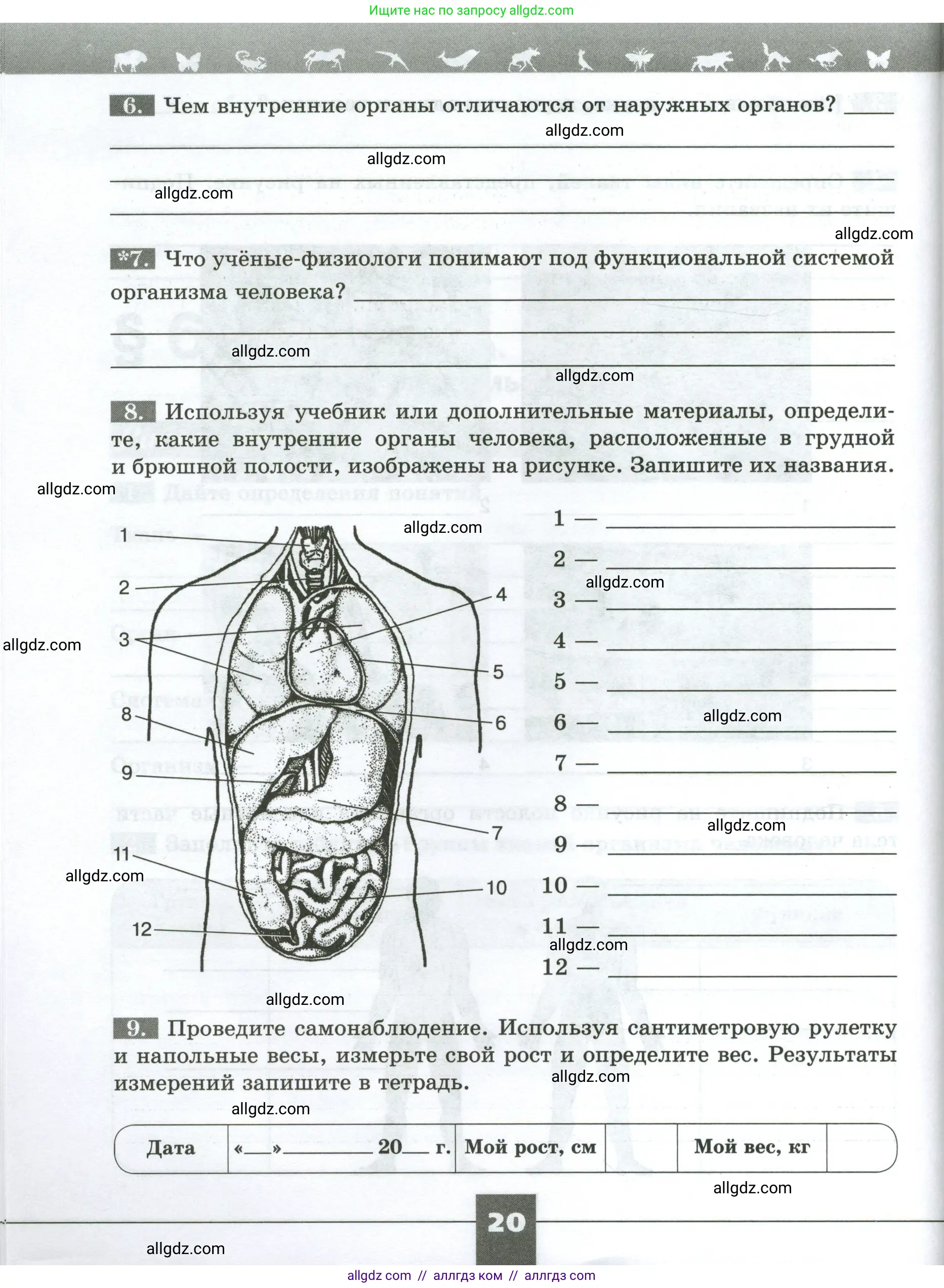 Биология, 9 класс рабочая тетрадь, авторы: Пасечник Владимир Васильевич, Швецов Глеб Геннадьевич, издательство Просвещение, Москва, 2023, розового цвета, страница 20