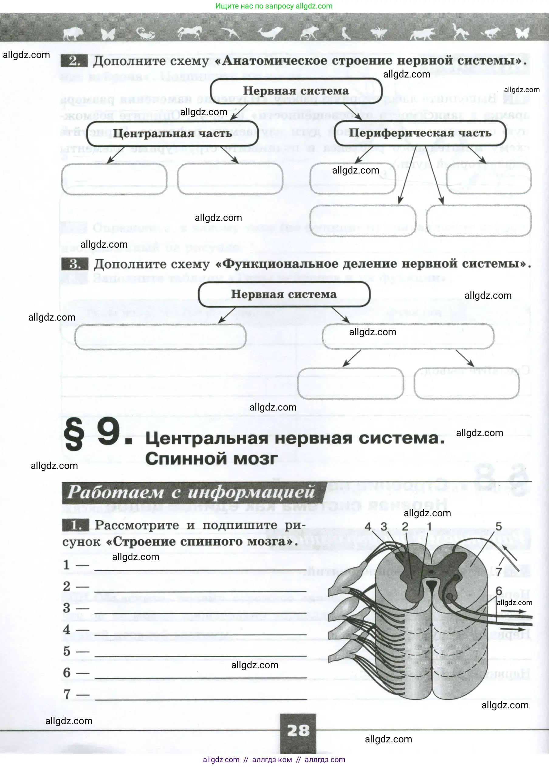Биология, 9 класс рабочая тетрадь, авторы: Пасечник Владимир Васильевич, Швецов Глеб Геннадьевич, издательство Просвещение, Москва, 2023, розового цвета, страница 28