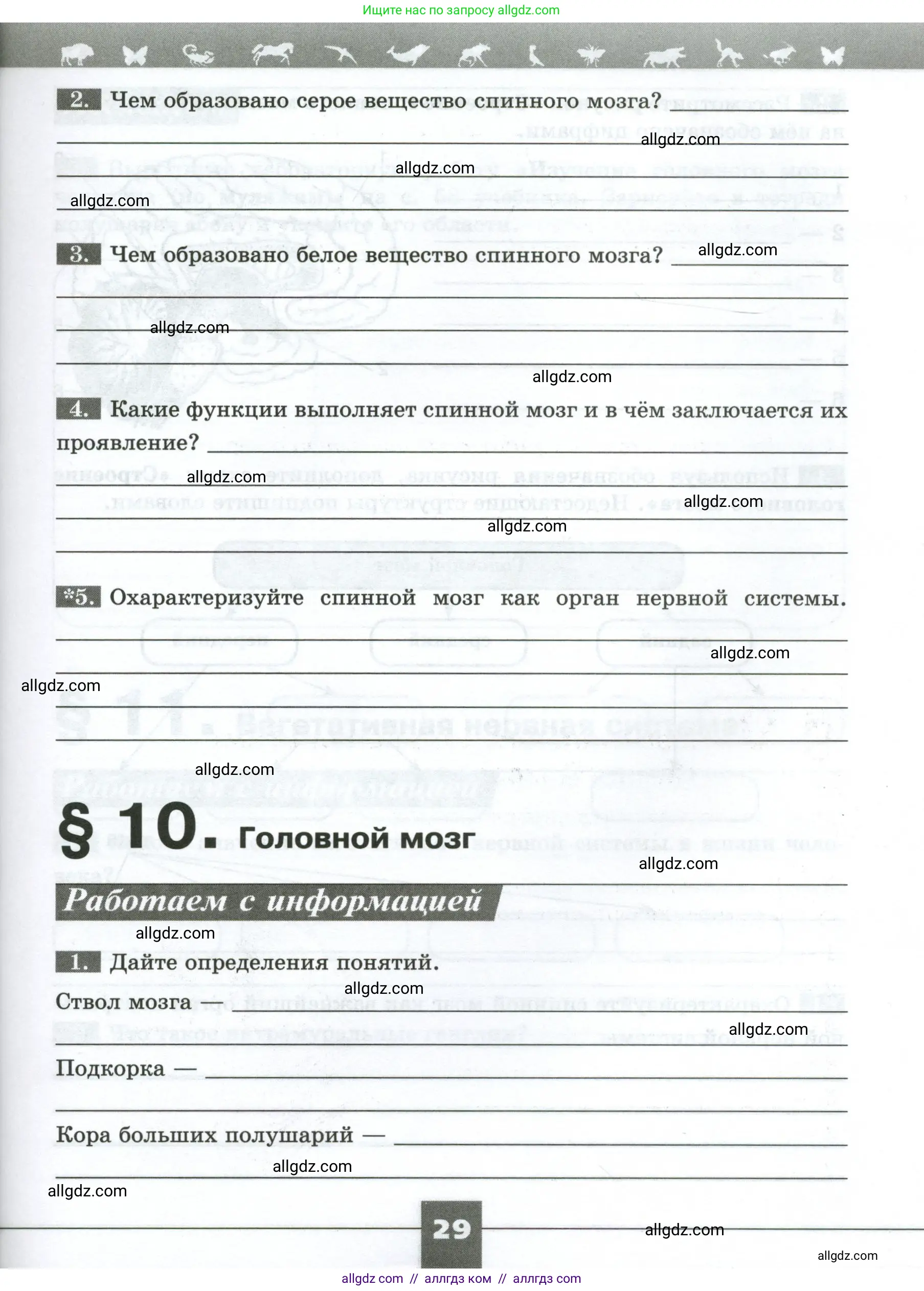 Биология, 9 класс рабочая тетрадь, авторы: Пасечник Владимир Васильевич, Швецов Глеб Геннадьевич, издательство Просвещение, Москва, 2023, розового цвета, страница 29