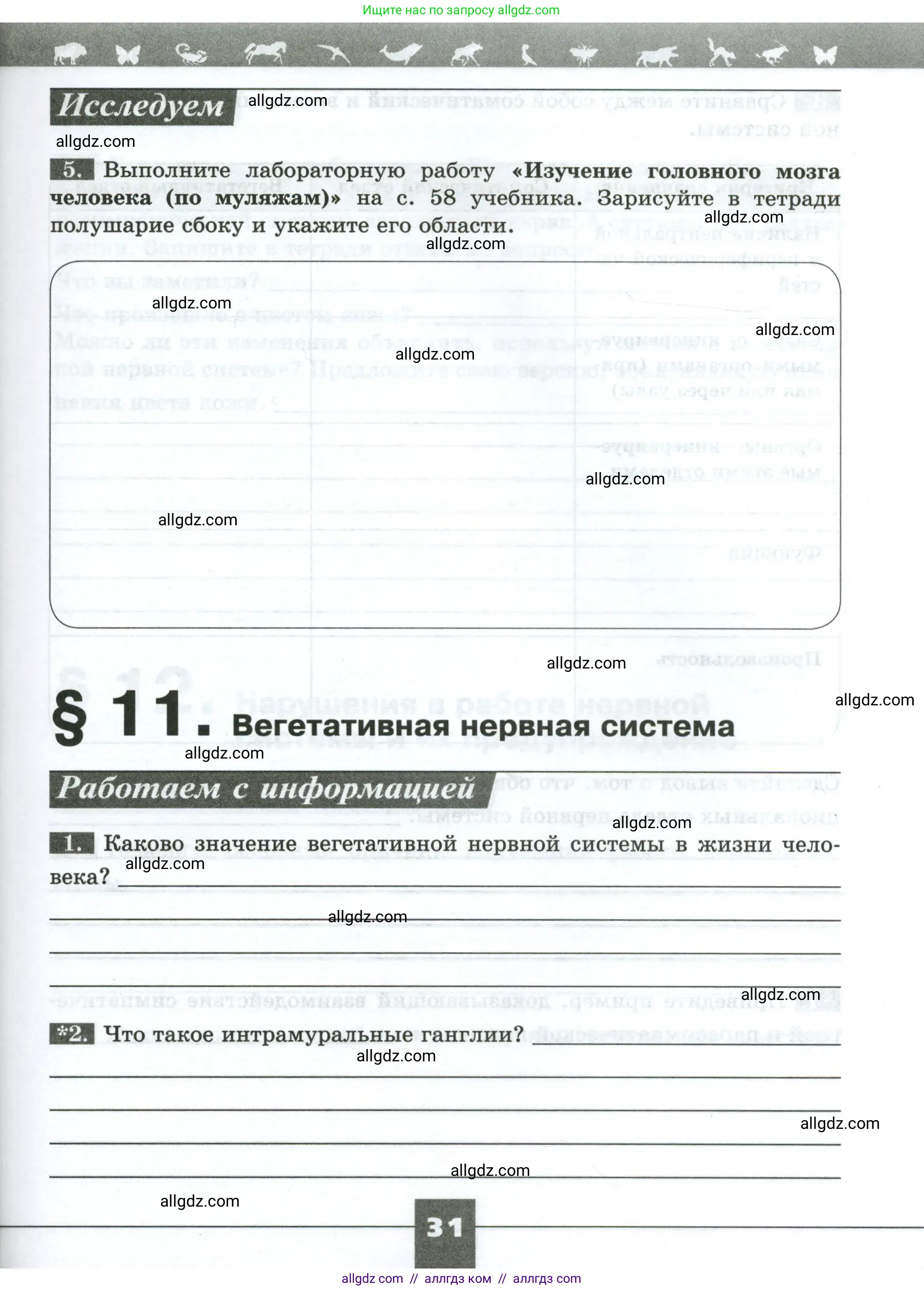 Биология, 9 класс рабочая тетрадь, авторы: Пасечник Владимир Васильевич, Швецов Глеб Геннадьевич, издательство Просвещение, Москва, 2023, розового цвета, страница 31