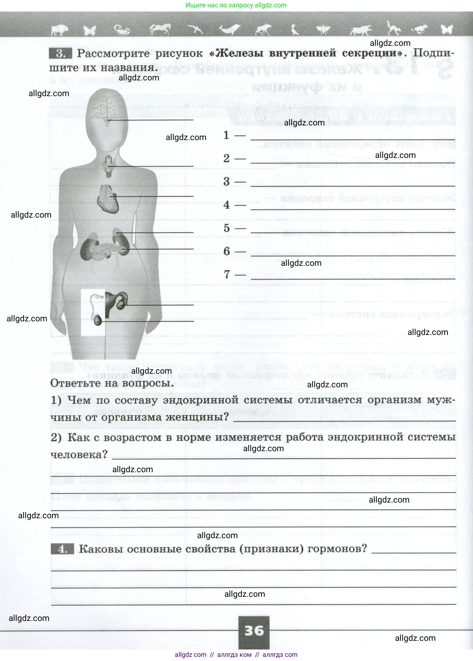 Биология, 9 класс рабочая тетрадь, авторы: Пасечник Владимир Васильевич, Швецов Глеб Геннадьевич, издательство Просвещение, Москва, 2023, розового цвета, страница 36