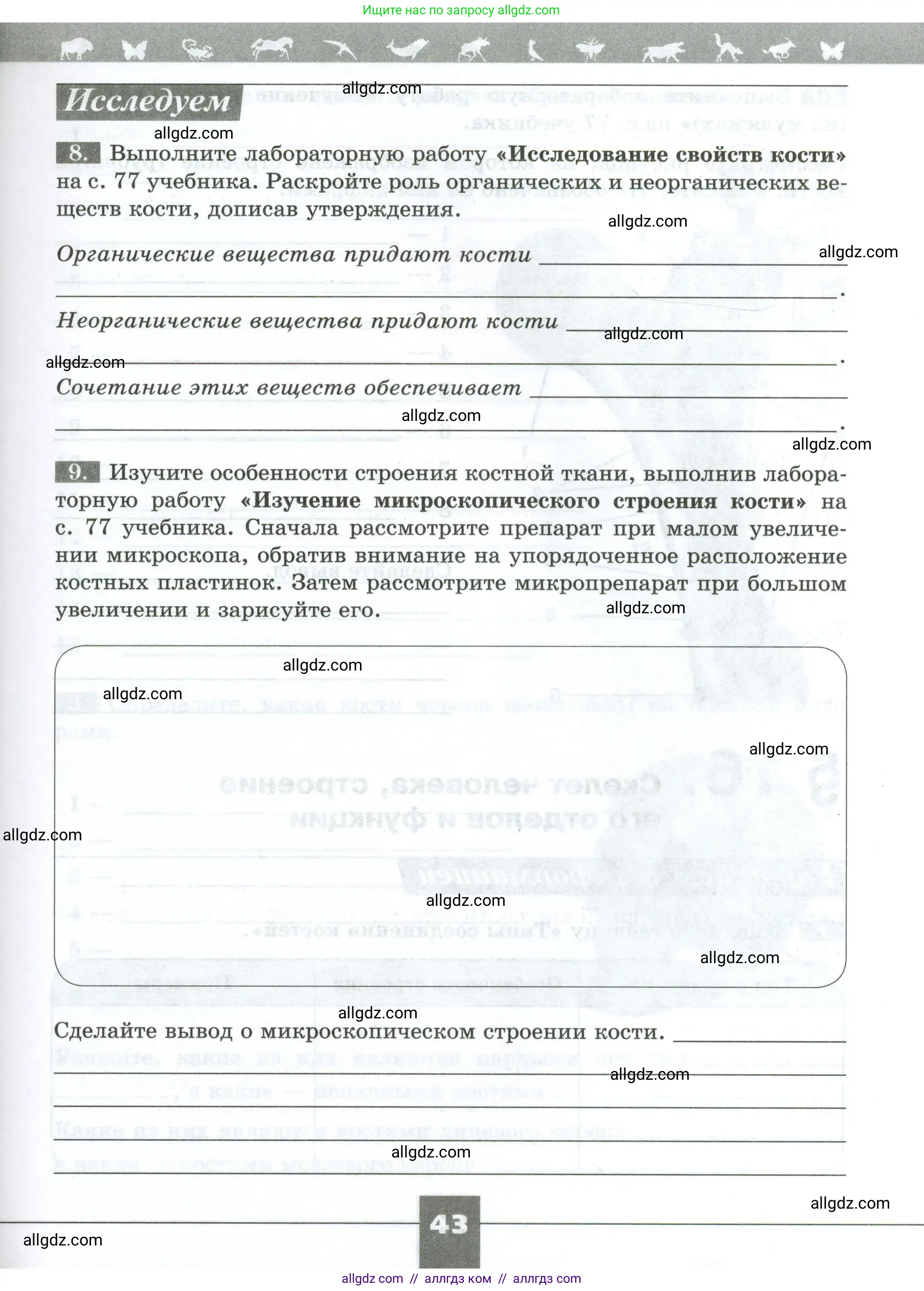 Биология, 9 класс рабочая тетрадь, авторы: Пасечник Владимир Васильевич, Швецов Глеб Геннадьевич, издательство Просвещение, Москва, 2023, розового цвета, страница 43