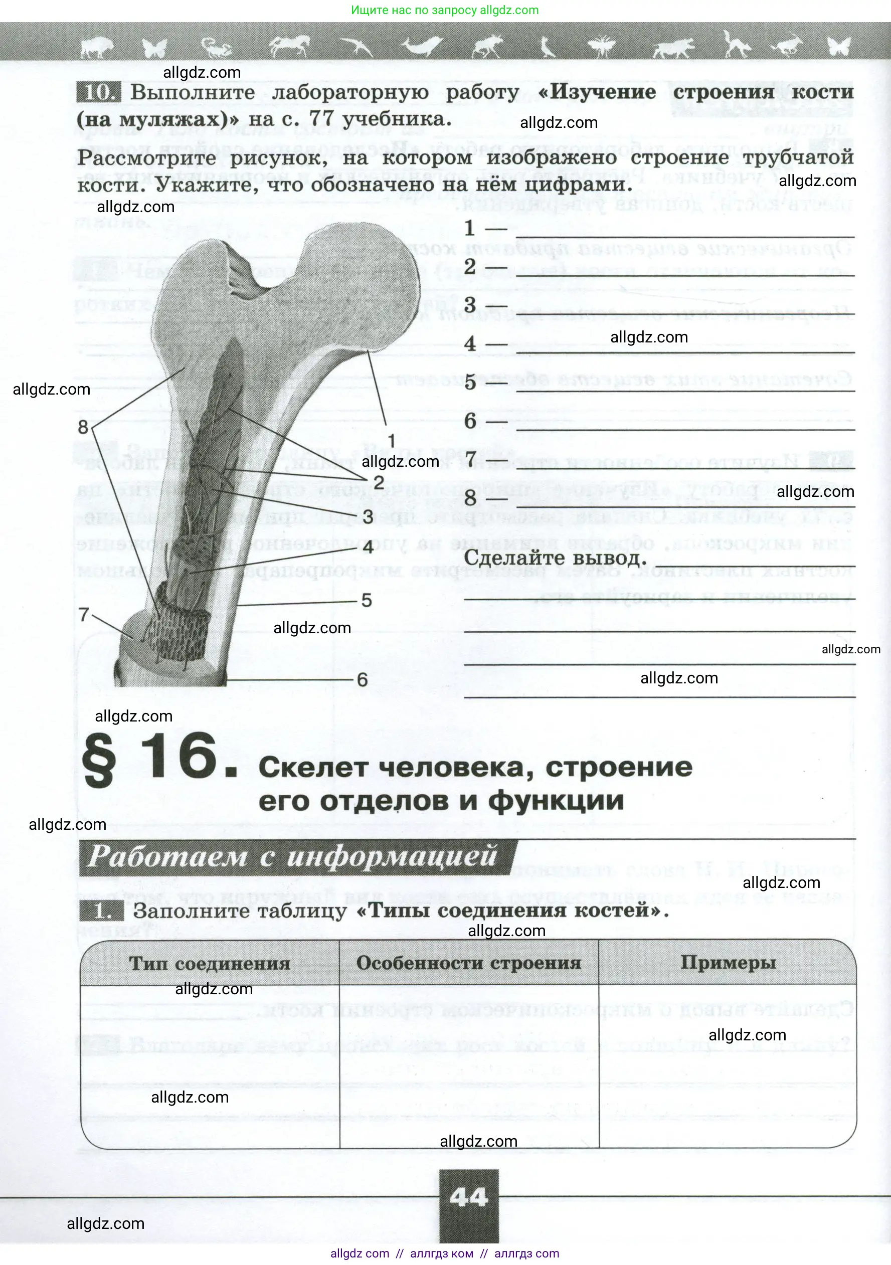 Биология, 9 класс рабочая тетрадь, авторы: Пасечник Владимир Васильевич, Швецов Глеб Геннадьевич, издательство Просвещение, Москва, 2023, розового цвета, страница 44