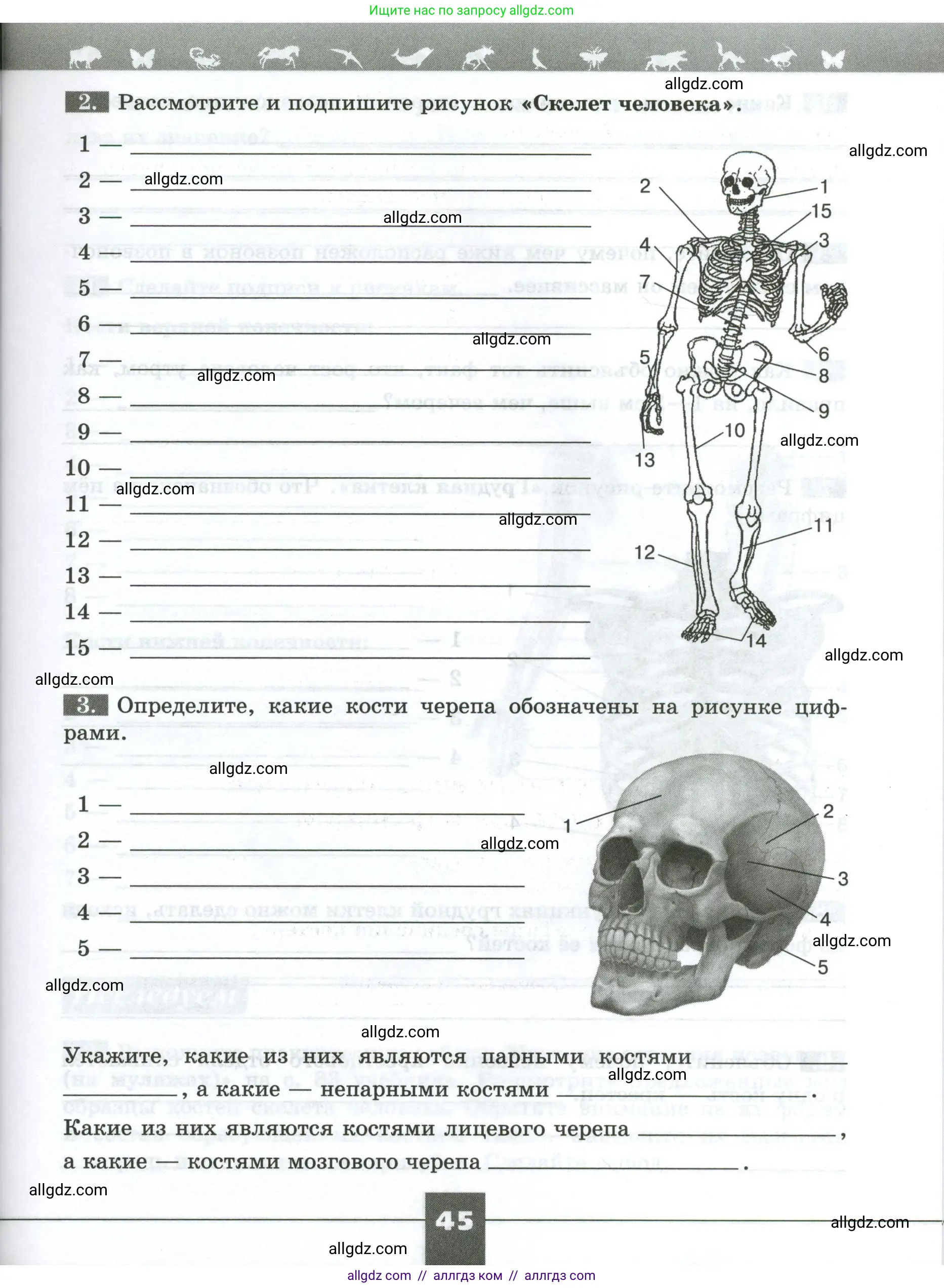 Биология, 9 класс рабочая тетрадь, авторы: Пасечник Владимир Васильевич, Швецов Глеб Геннадьевич, издательство Просвещение, Москва, 2023, розового цвета, страница 45