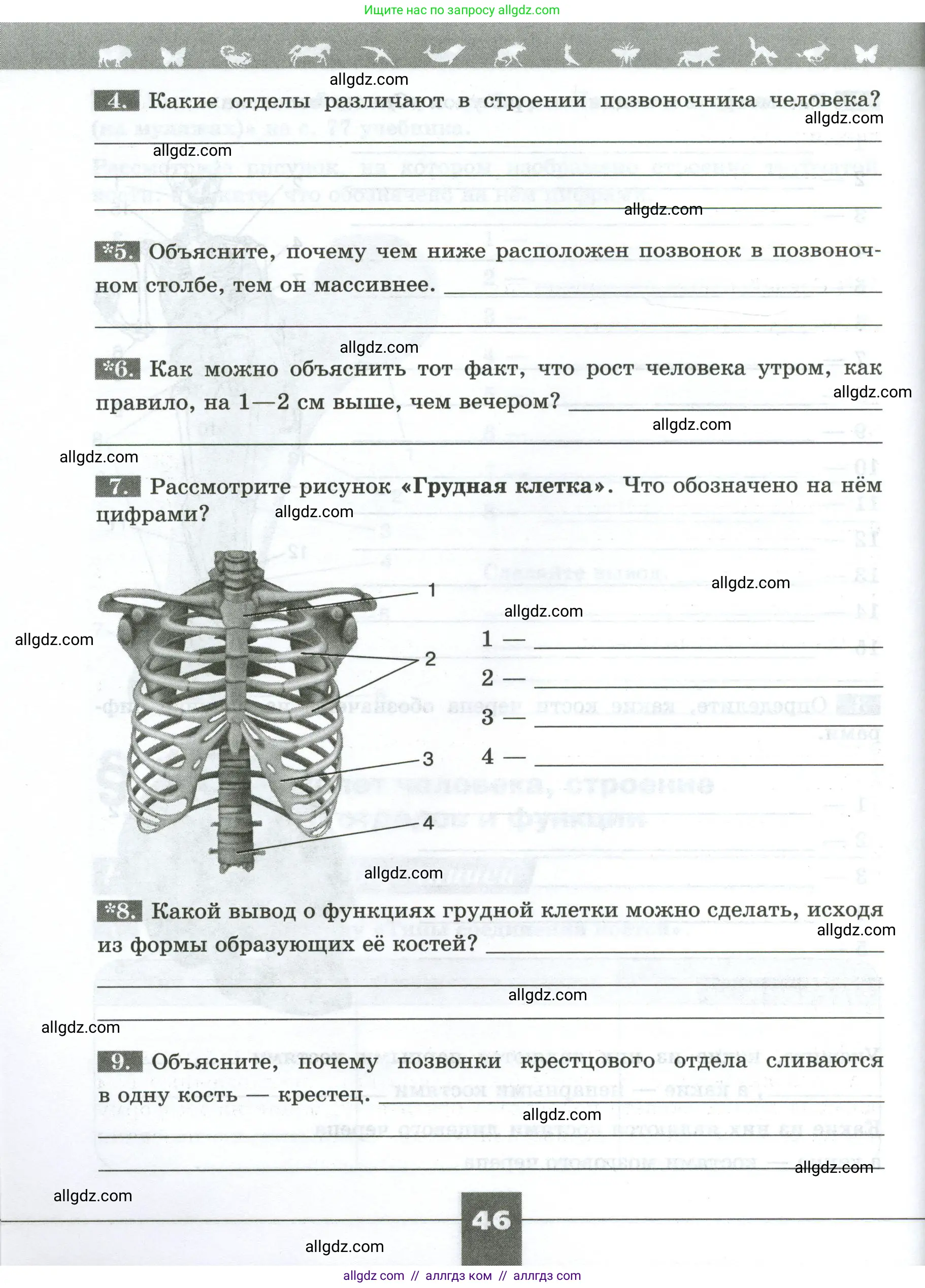 Биология, 9 класс рабочая тетрадь, авторы: Пасечник Владимир Васильевич, Швецов Глеб Геннадьевич, издательство Просвещение, Москва, 2023, розового цвета, страница 46
