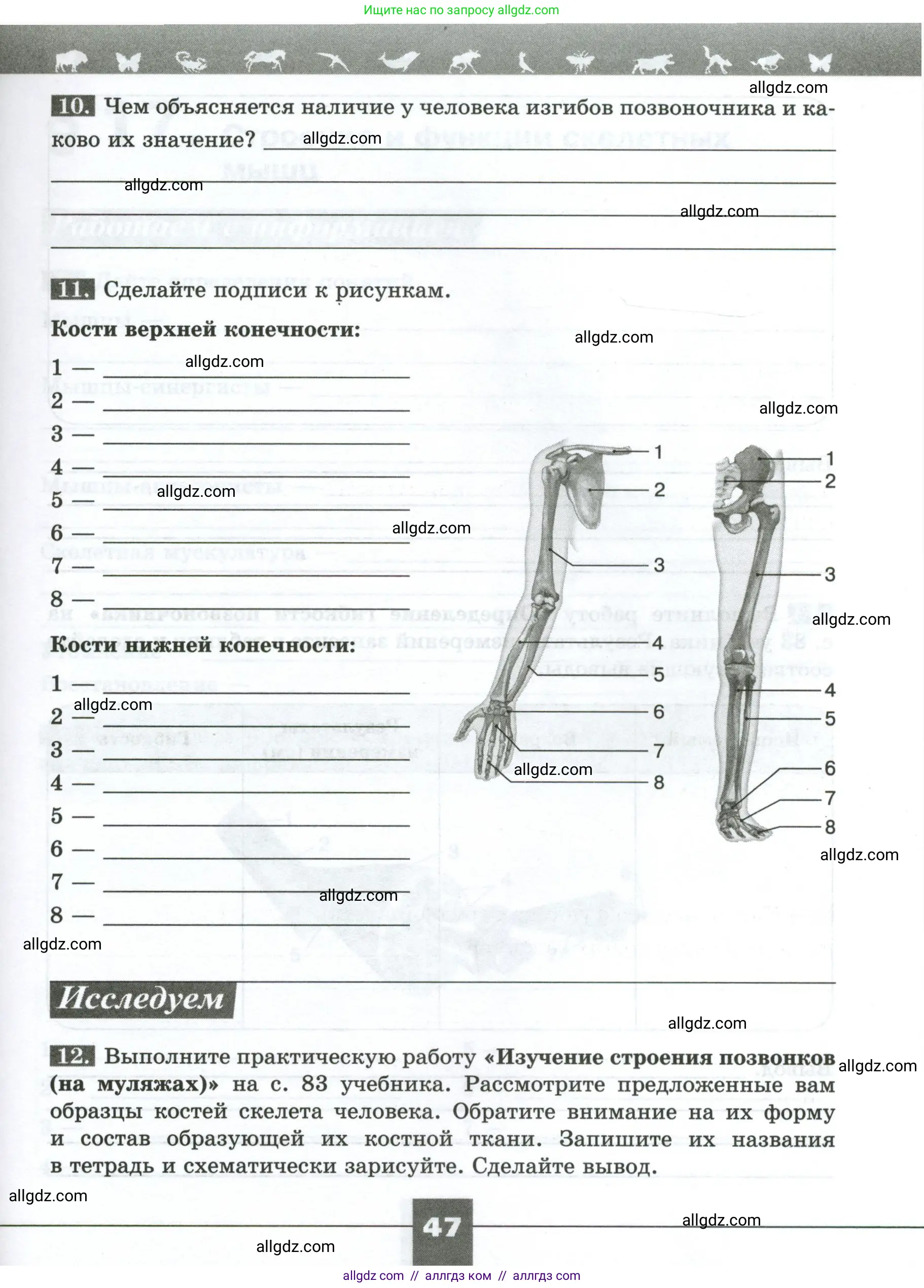 Биология, 9 класс рабочая тетрадь, авторы: Пасечник Владимир Васильевич, Швецов Глеб Геннадьевич, издательство Просвещение, Москва, 2023, розового цвета, страница 47
